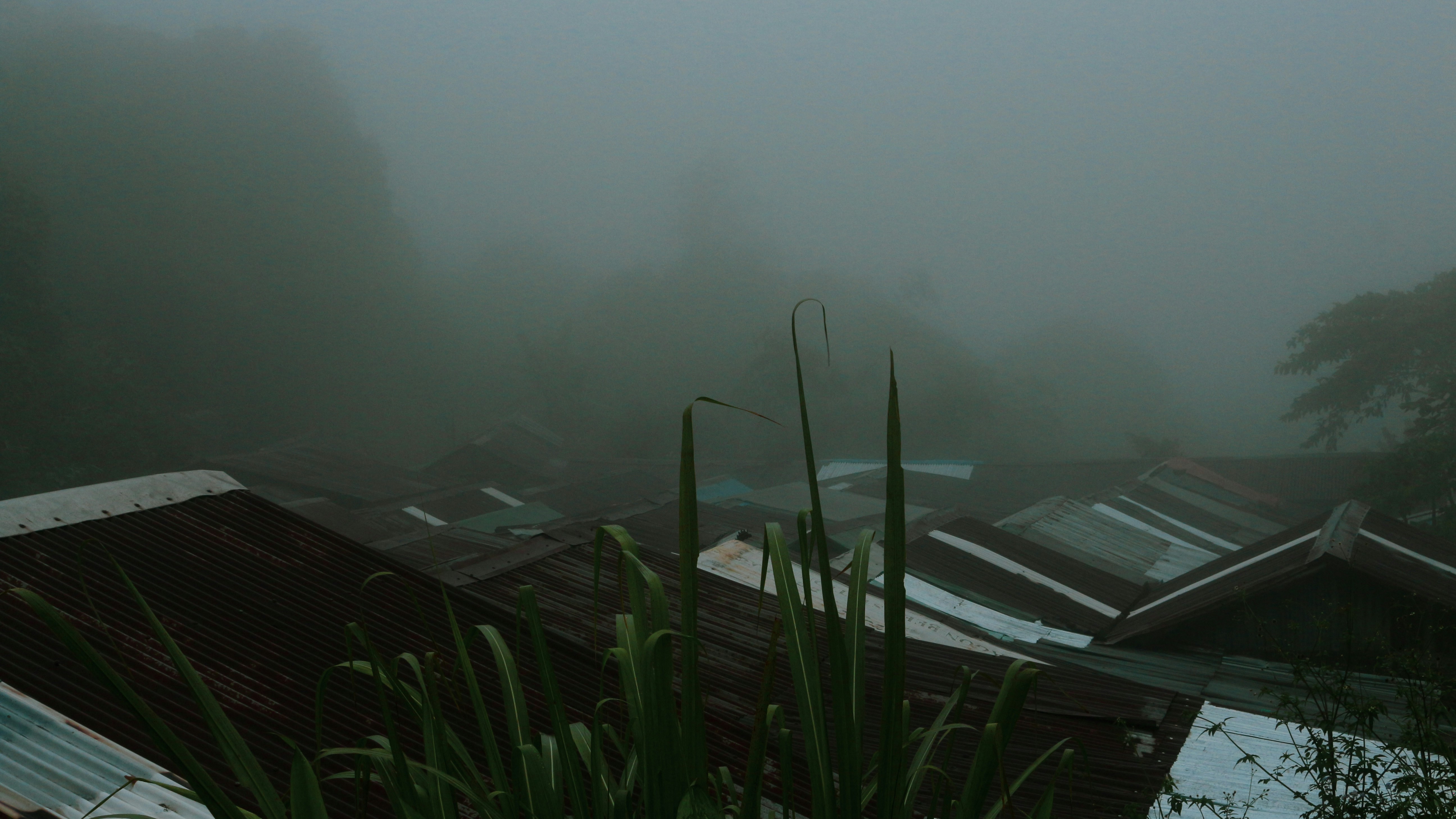 Photo by noah96k