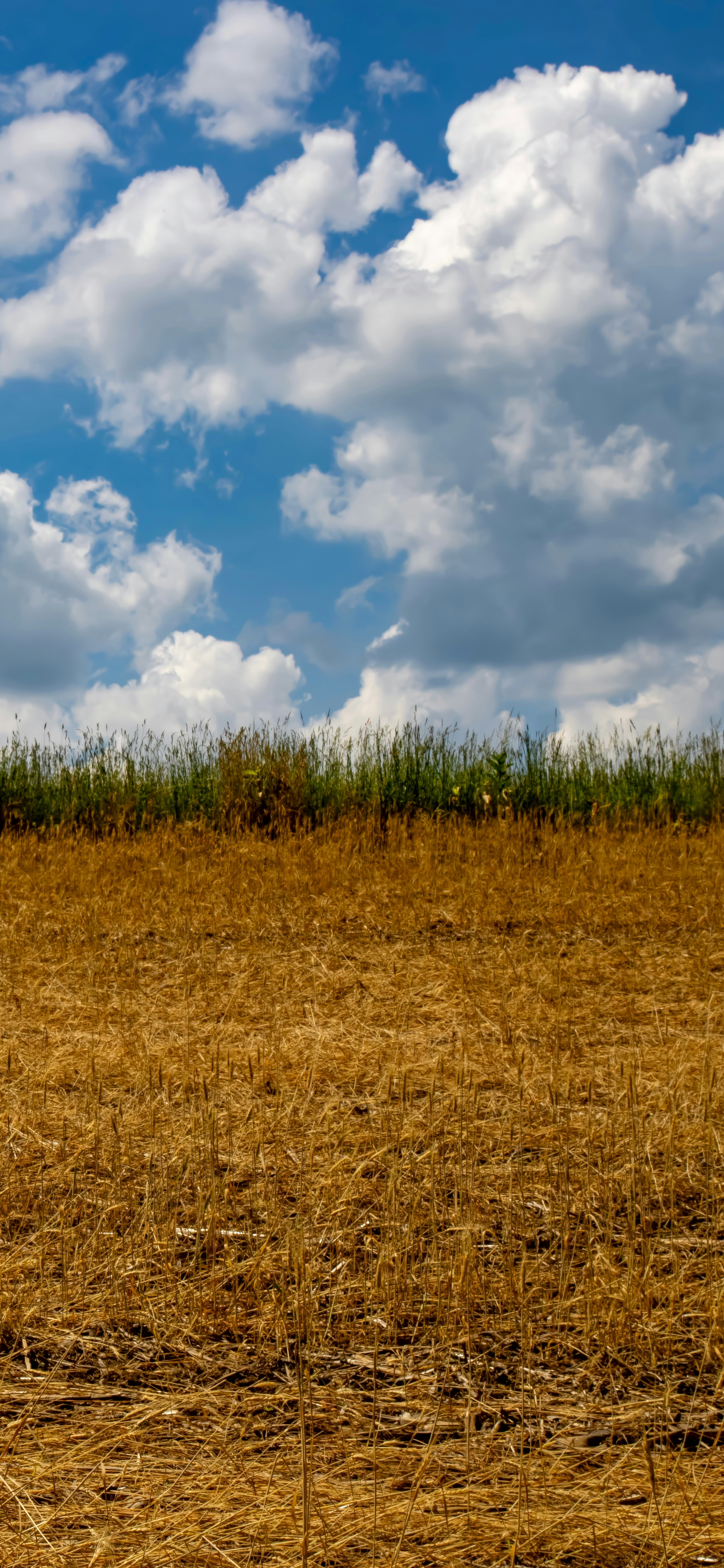 Photo by peterbbryan