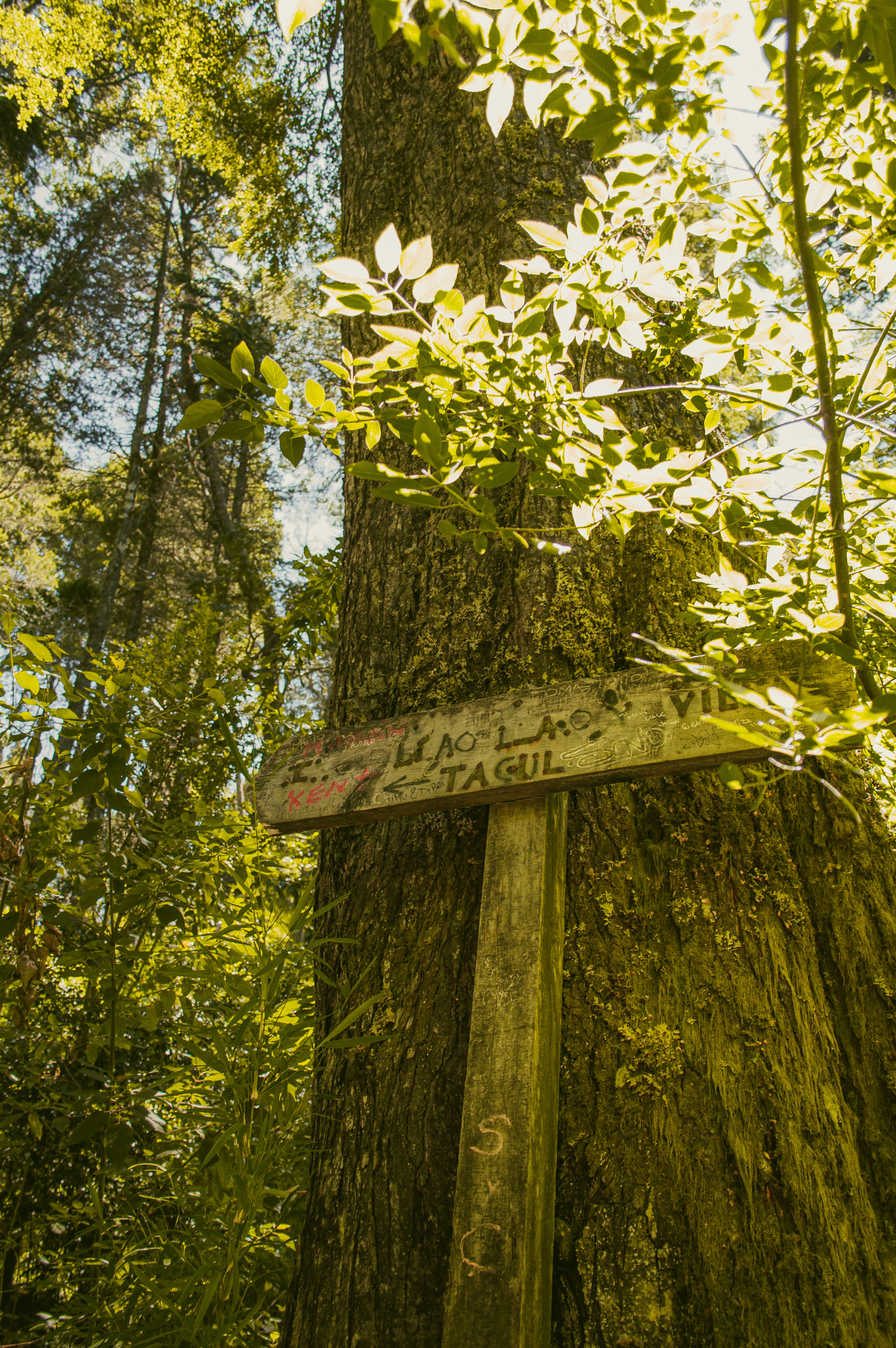 Photo by az_damariss