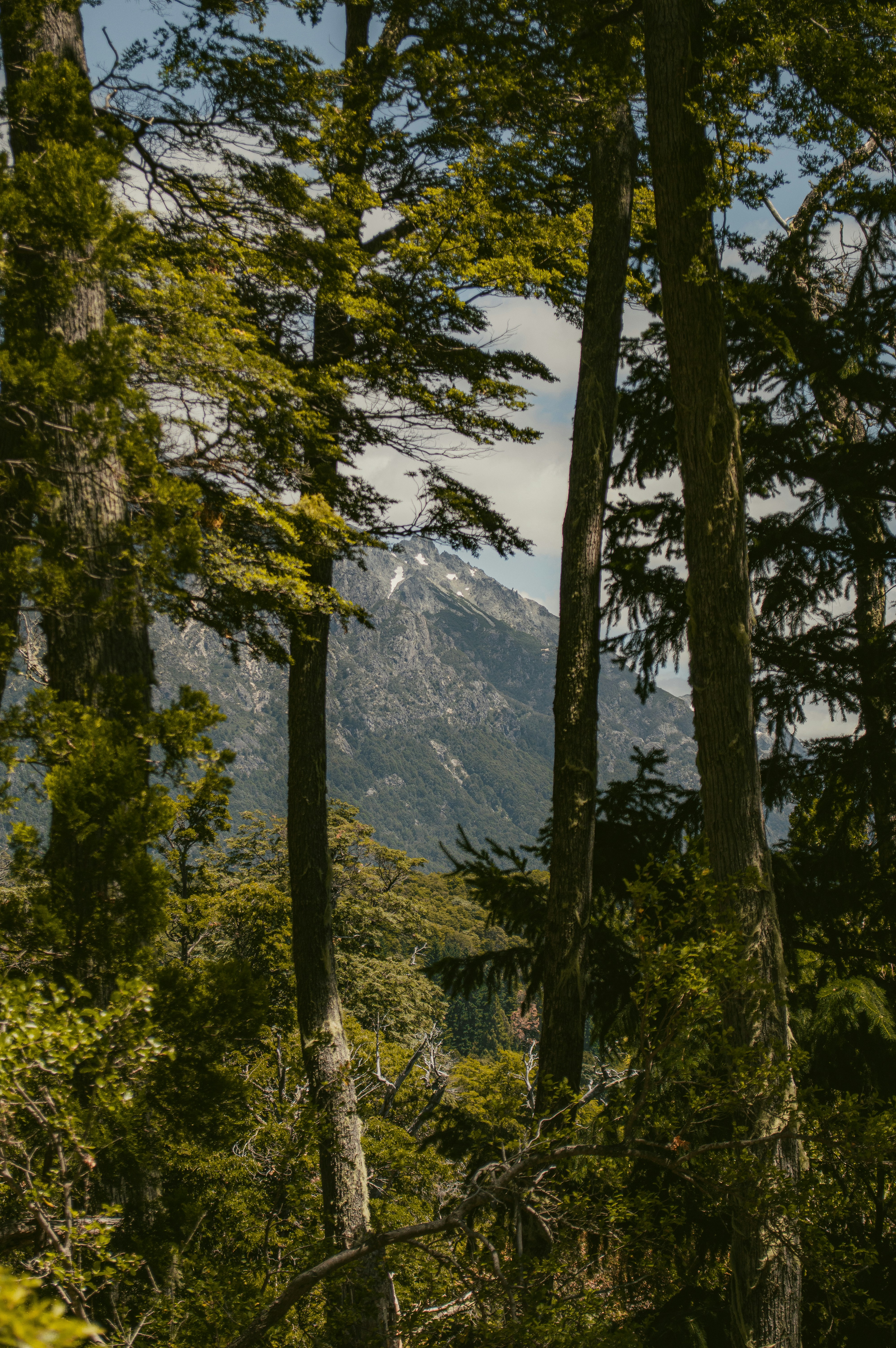 Photo by az_damariss