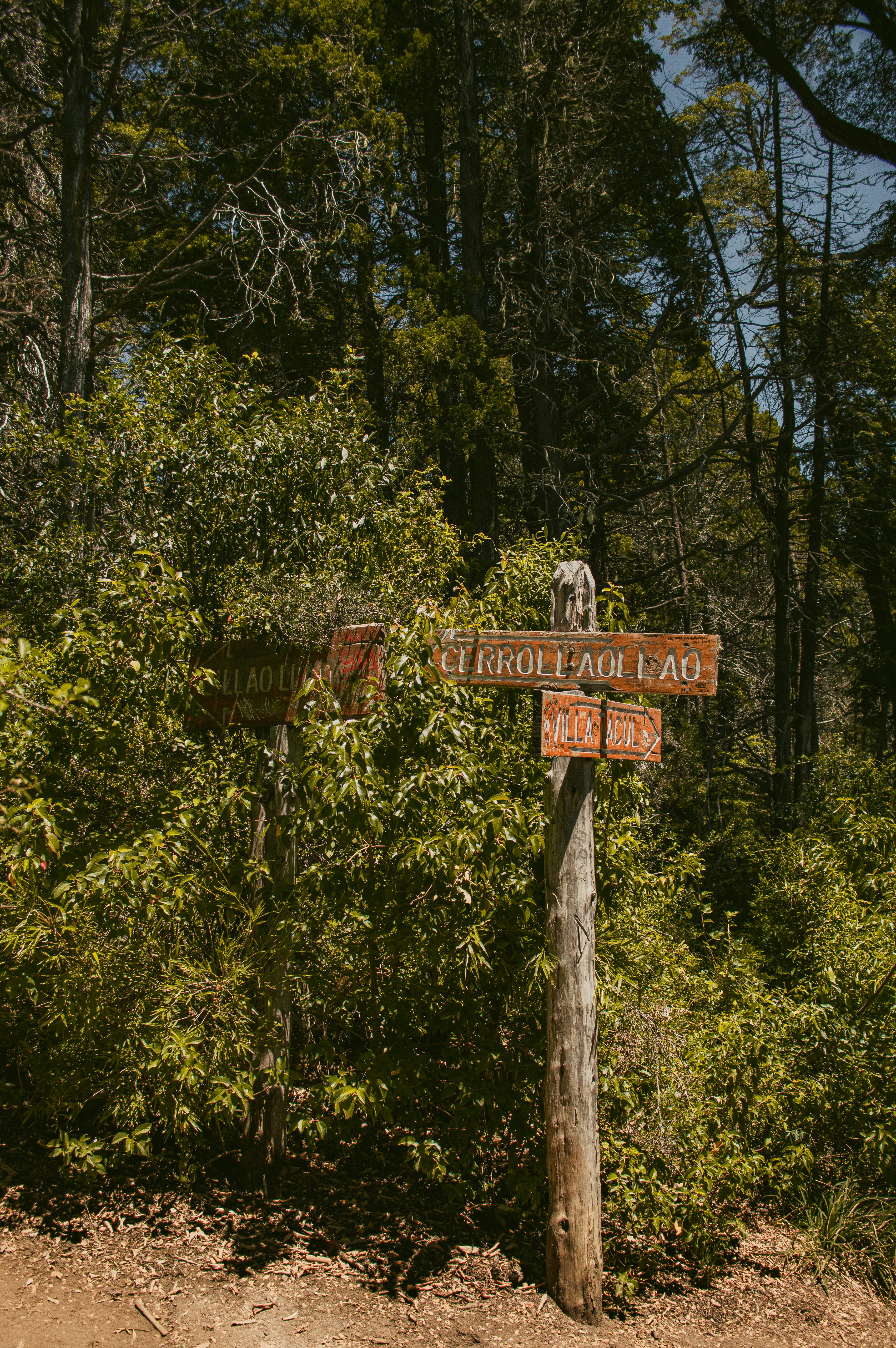 Photo by az_damariss