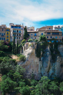 a city on top of a cliff surrounded by trees