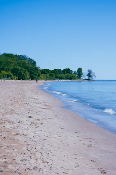 a sandy beach next to the ocean under a blue sky