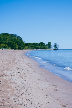 a sandy beach next to the ocean under a blue sky