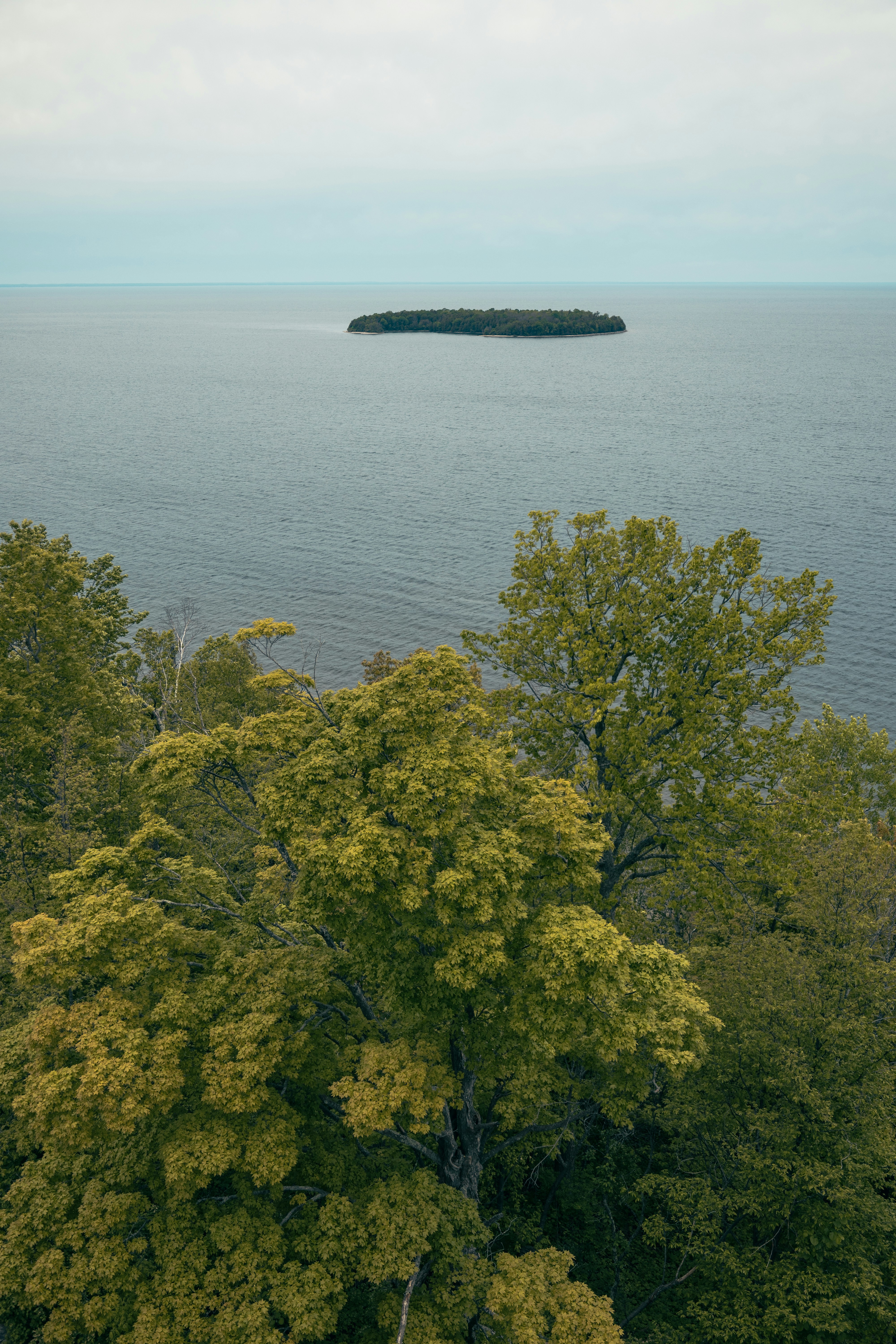 Photo by vincentyuan87