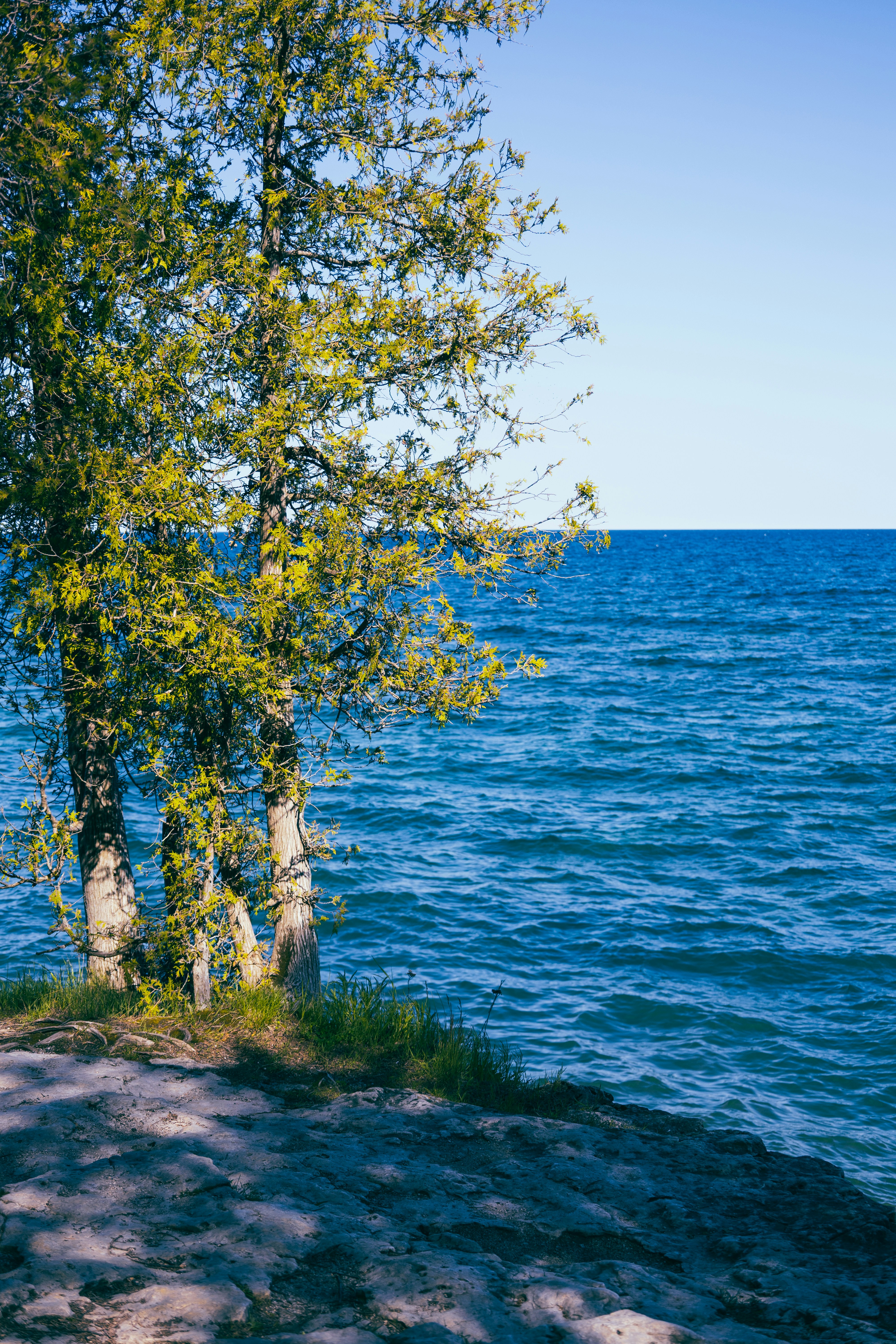 Photo by vincentyuan87