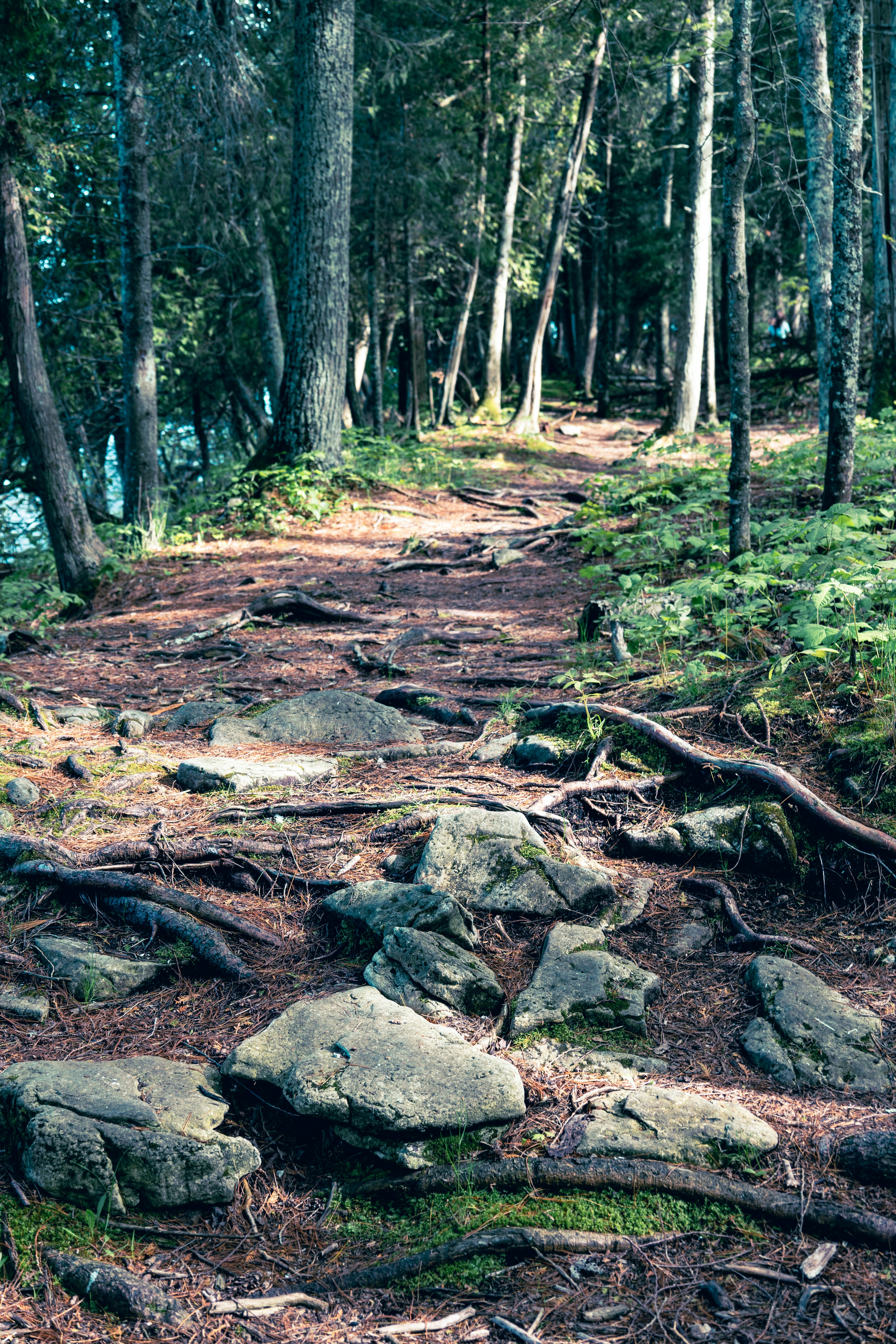 Photo by vincentyuan87