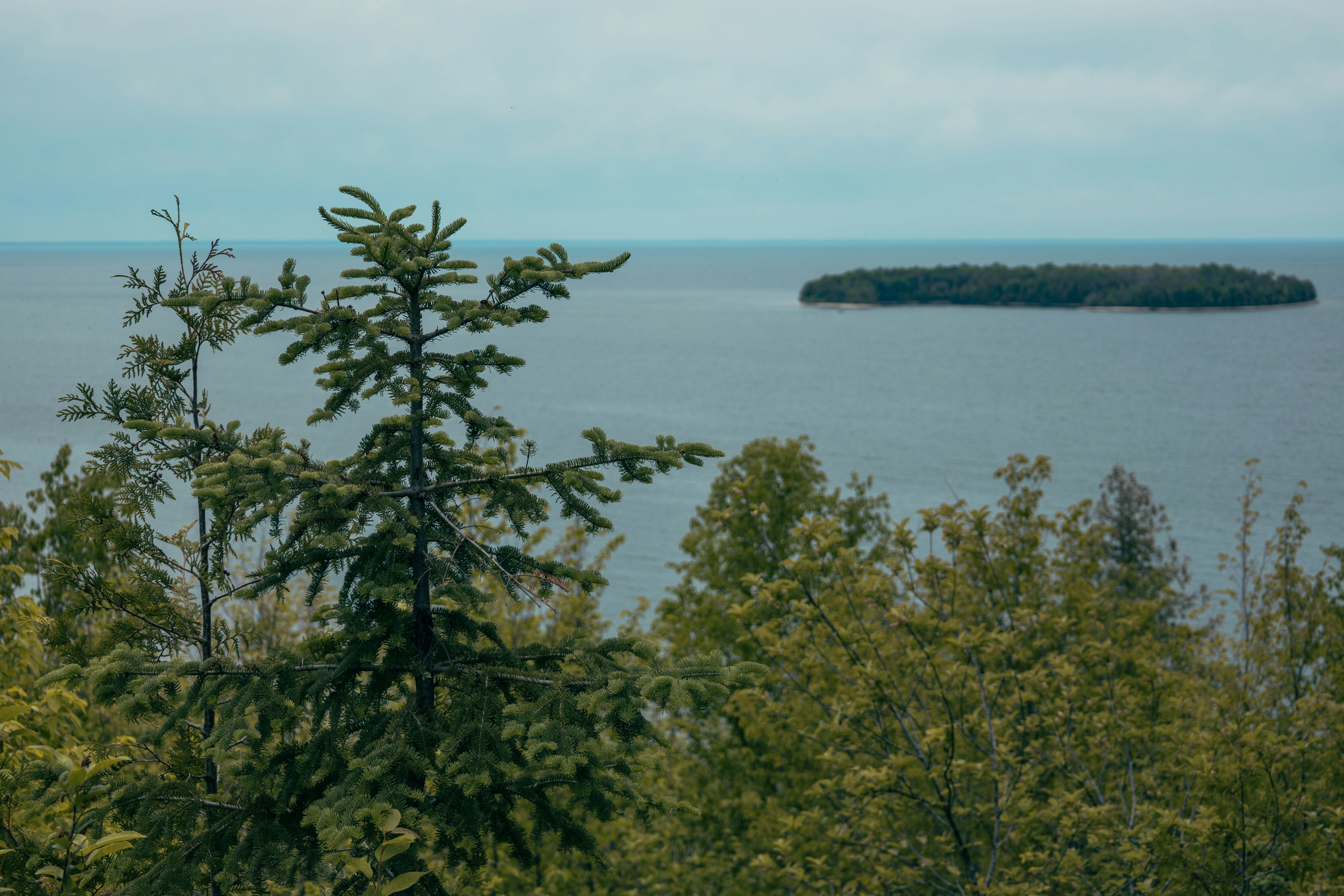 Photo by vincentyuan87