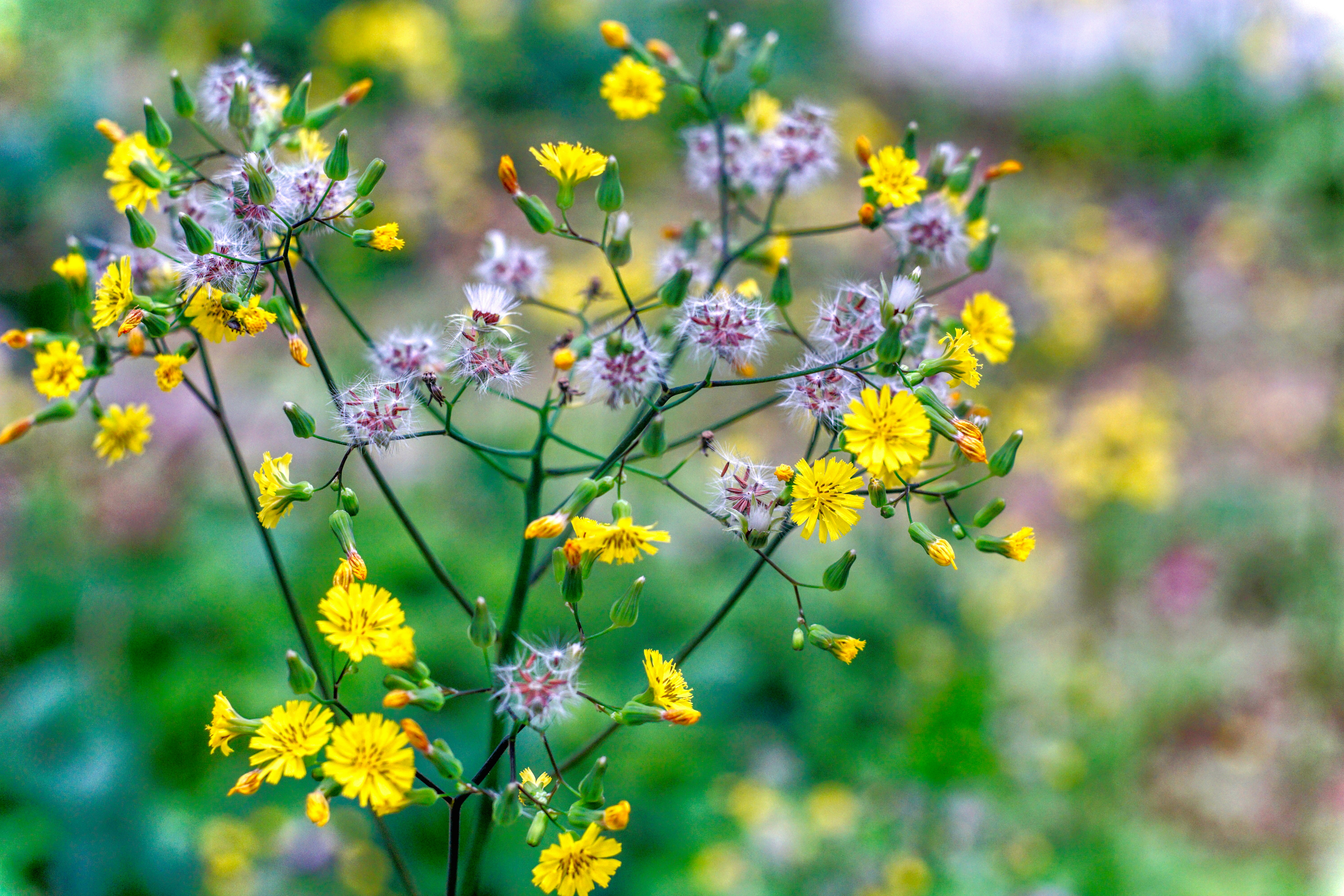 Photo by thomaskinto