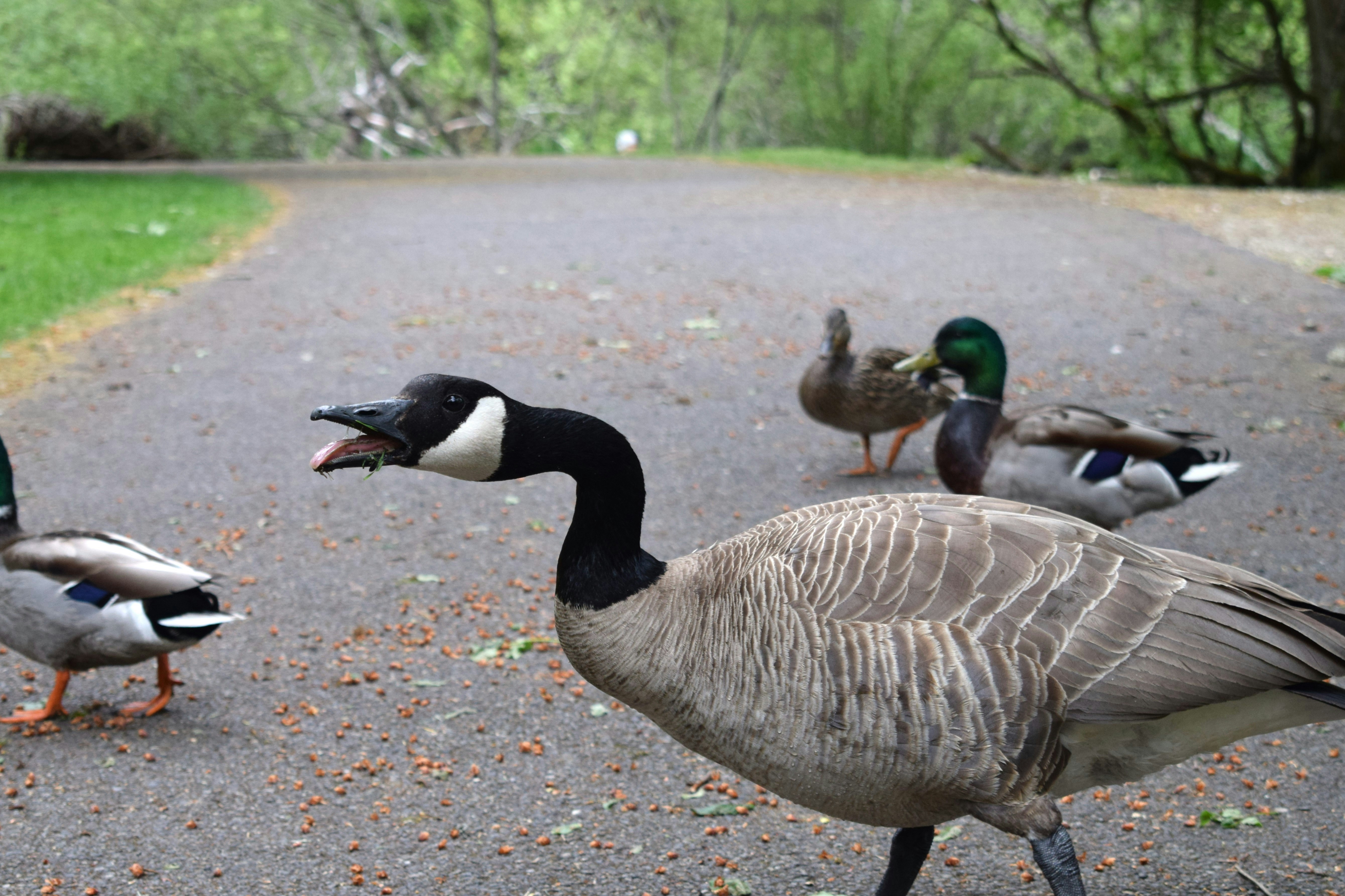 Photo by fr0ggy5_fr0ggy5