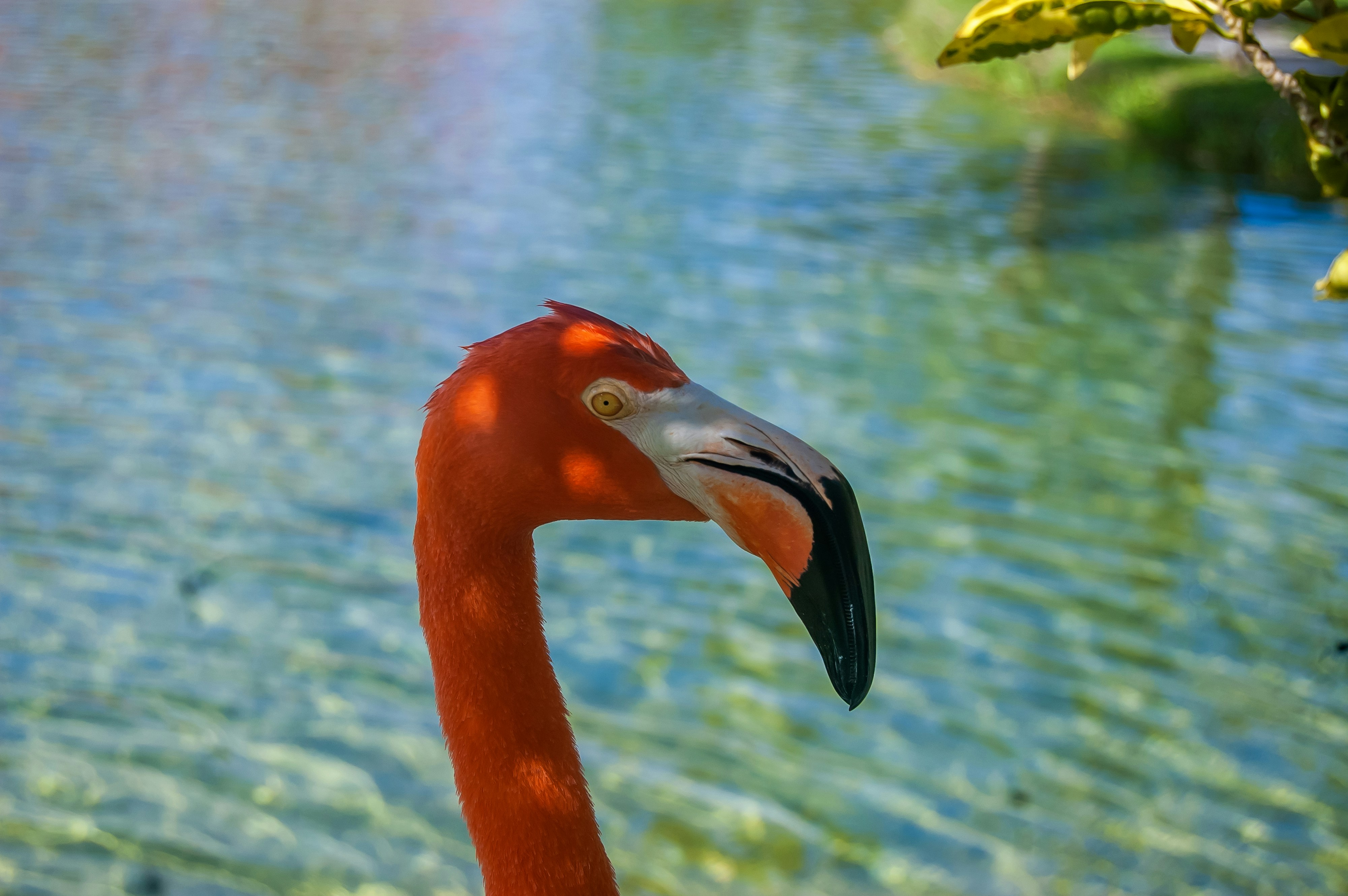 Photo by ernestcarrazana