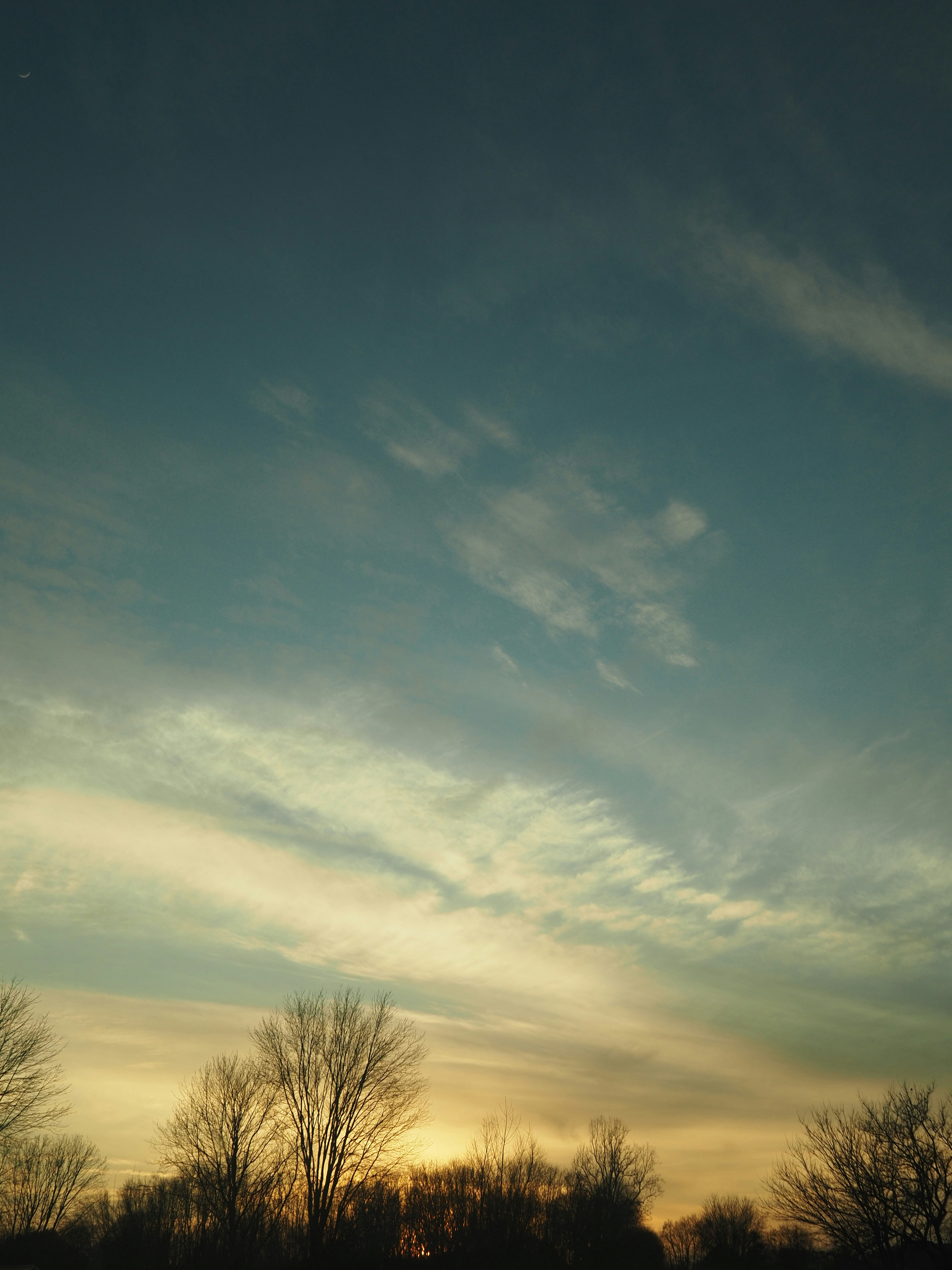 Photo by joshuafernandez