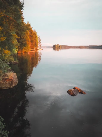a body of water surrounded by trees and rocks