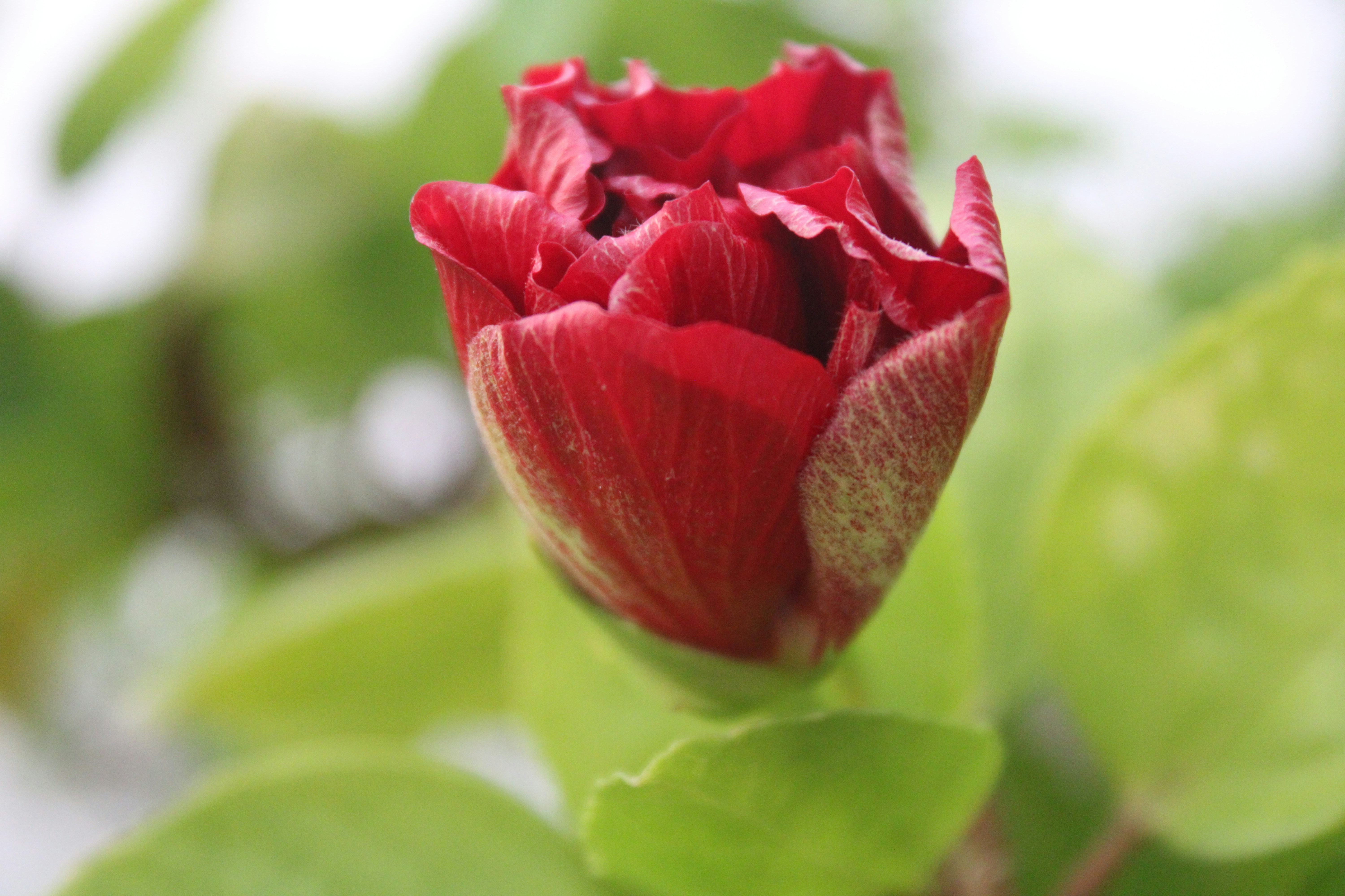 Photo by photoloveramico