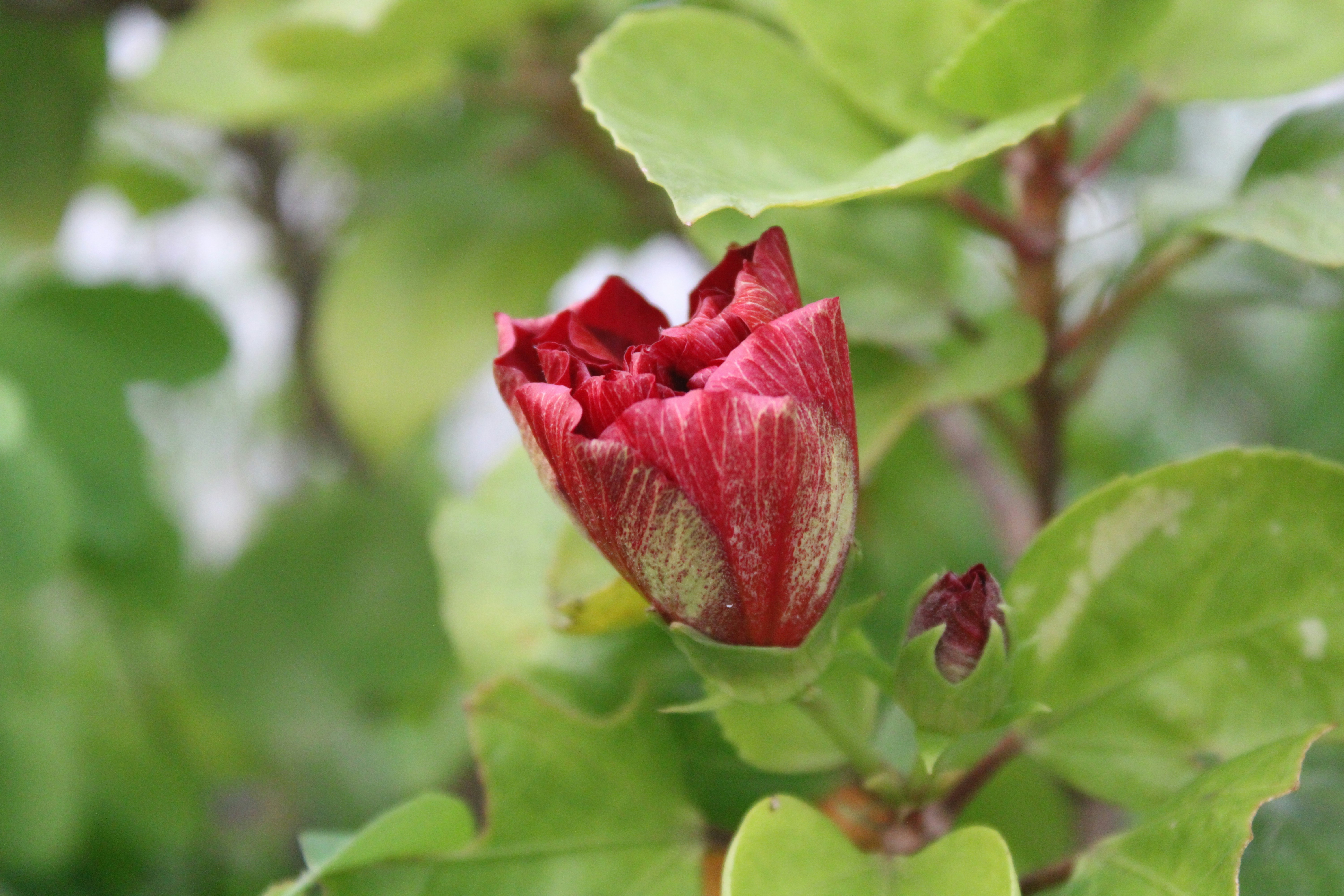 Photo by photoloveramico