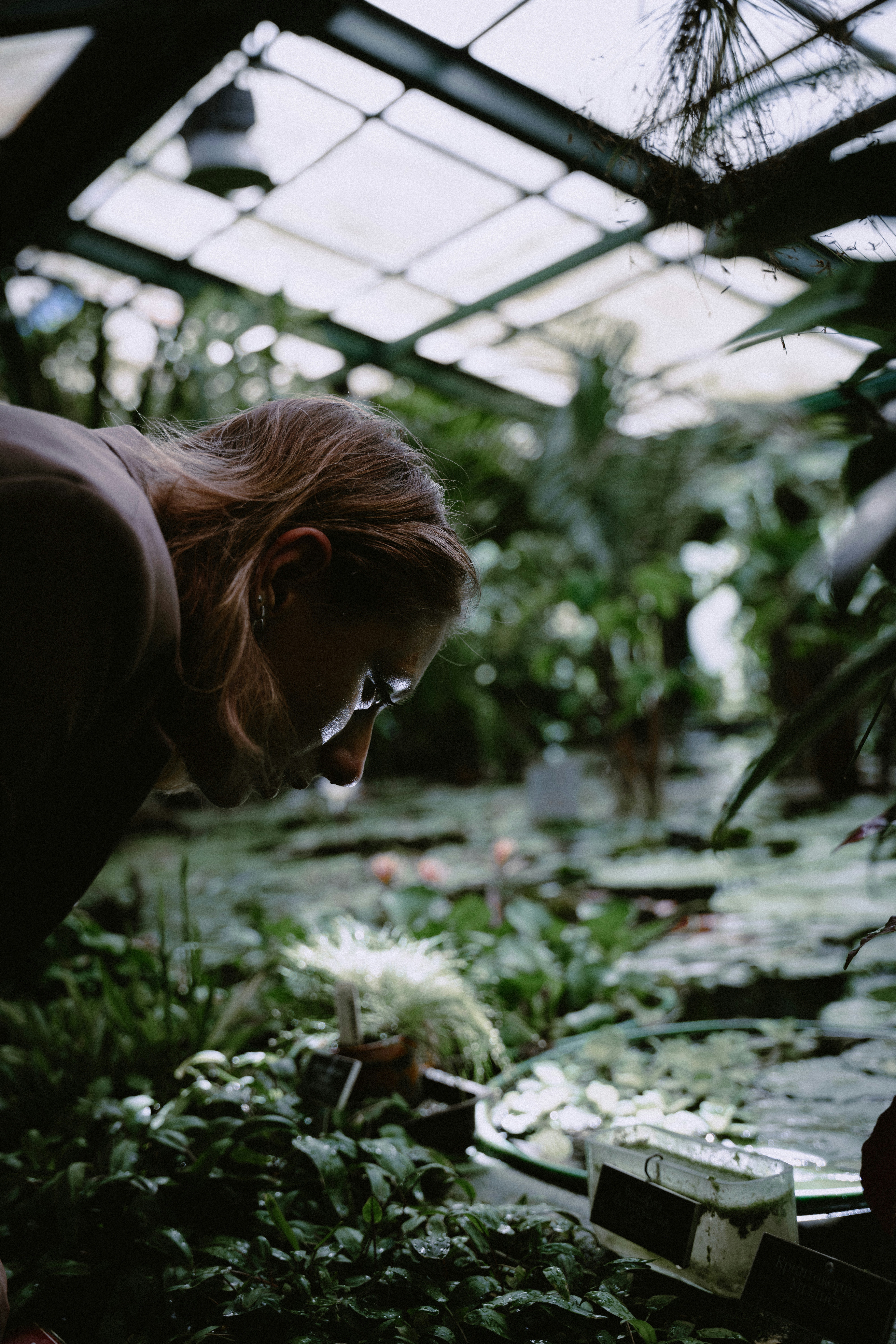 a woman looking at plants in a greenhouse