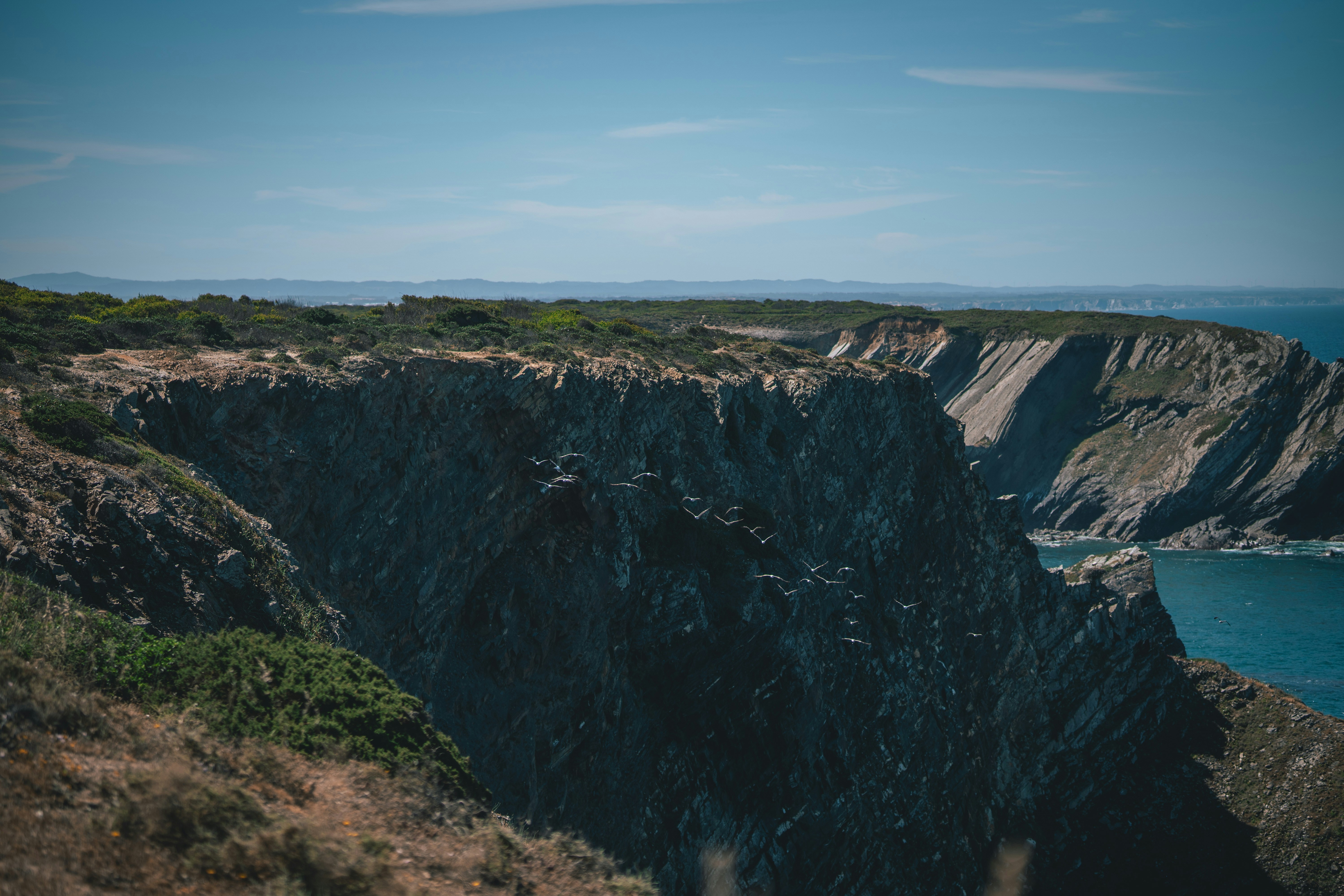a group of birds flying over a cliff by the ocean