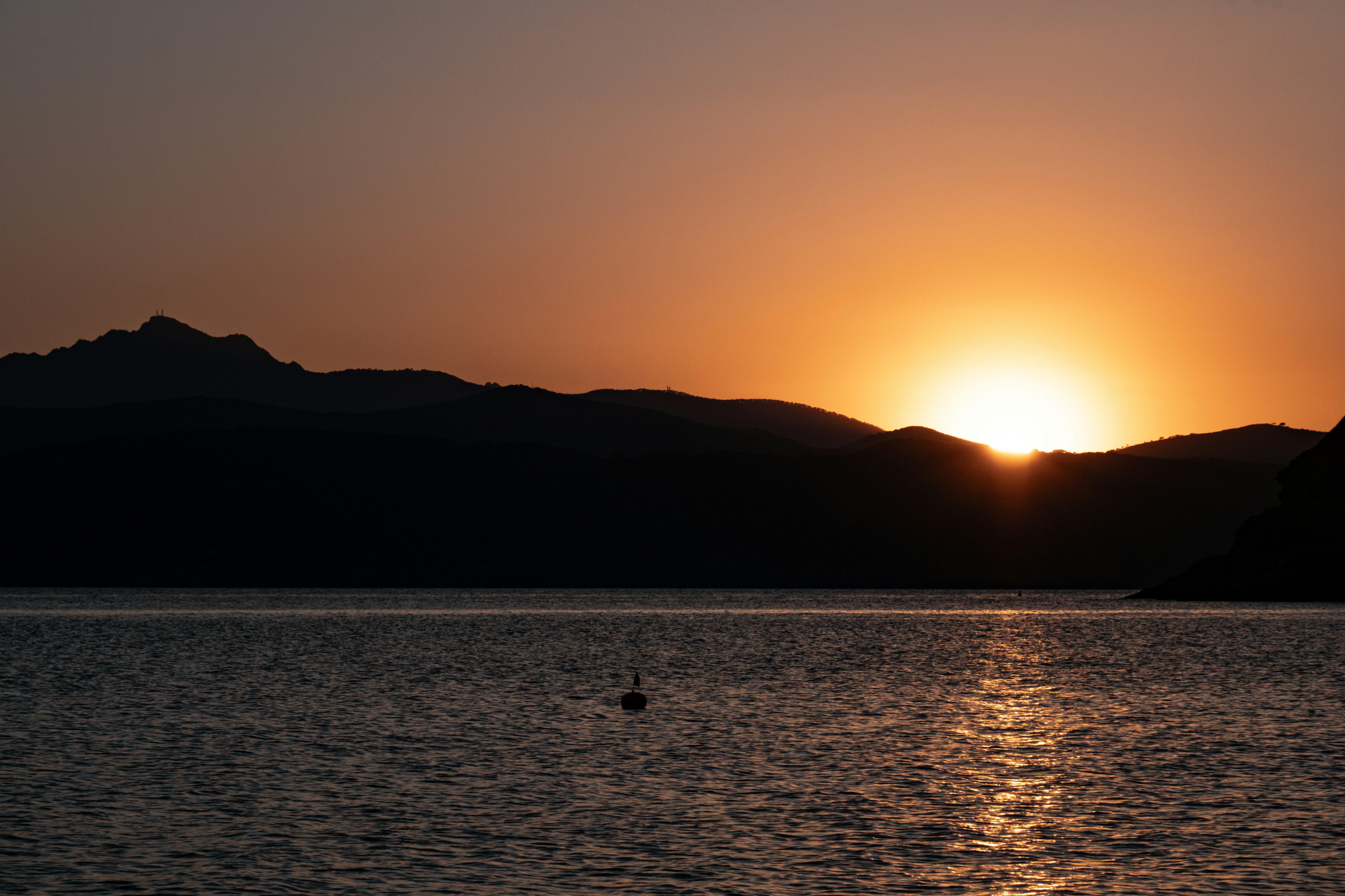 Photo by francesco_ungaro