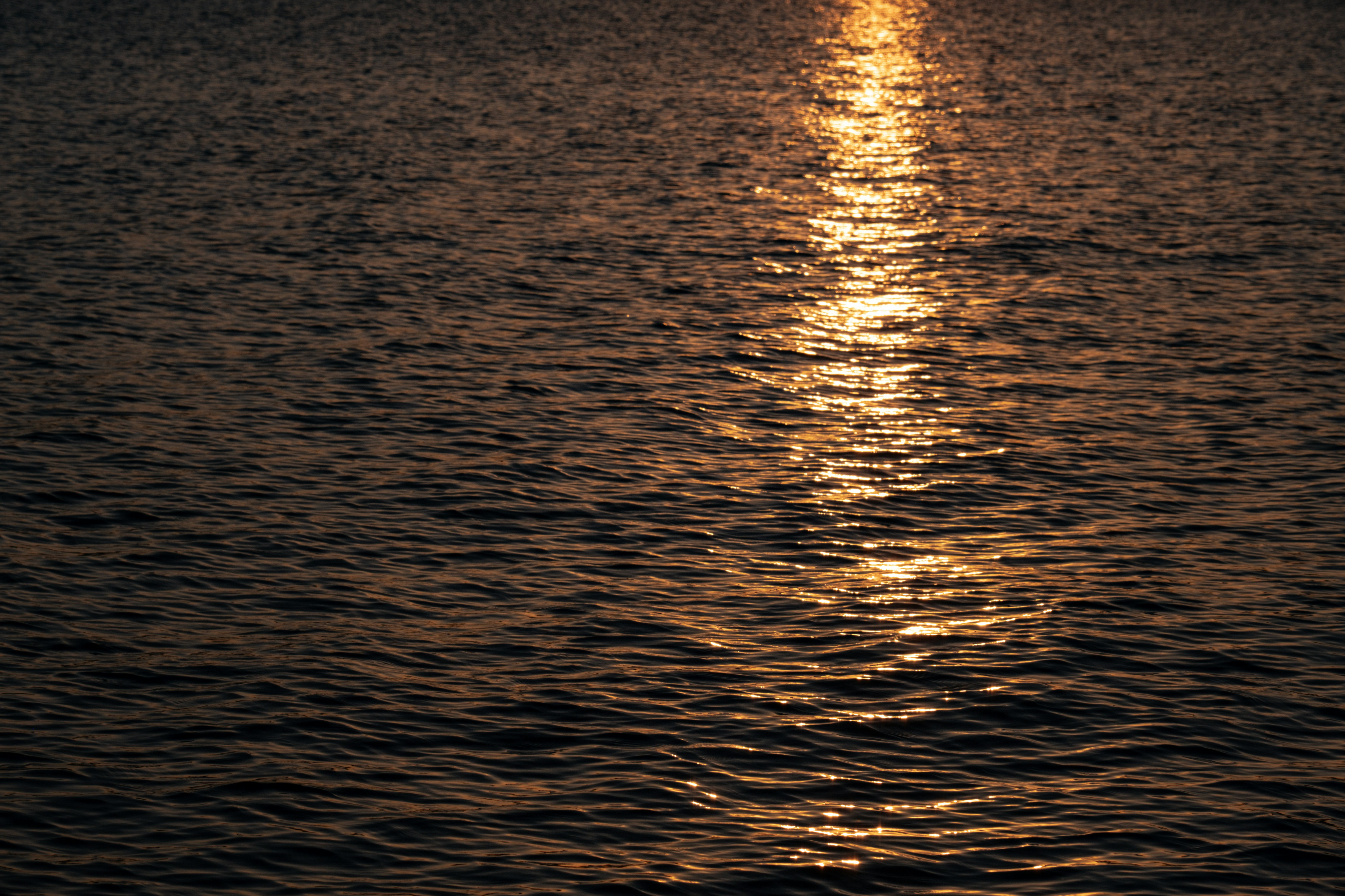 Photo by francesco_ungaro