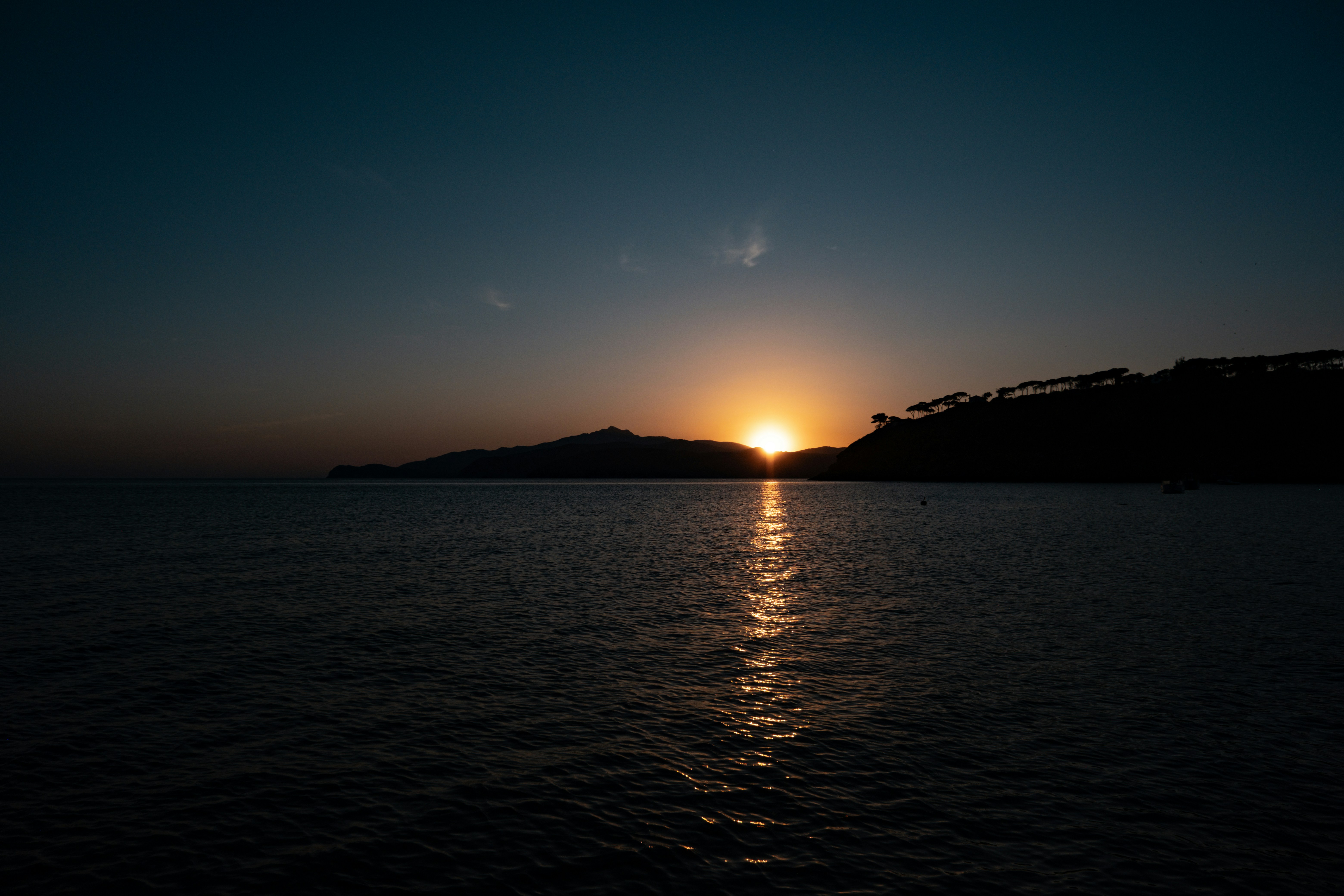 Photo by francesco_ungaro