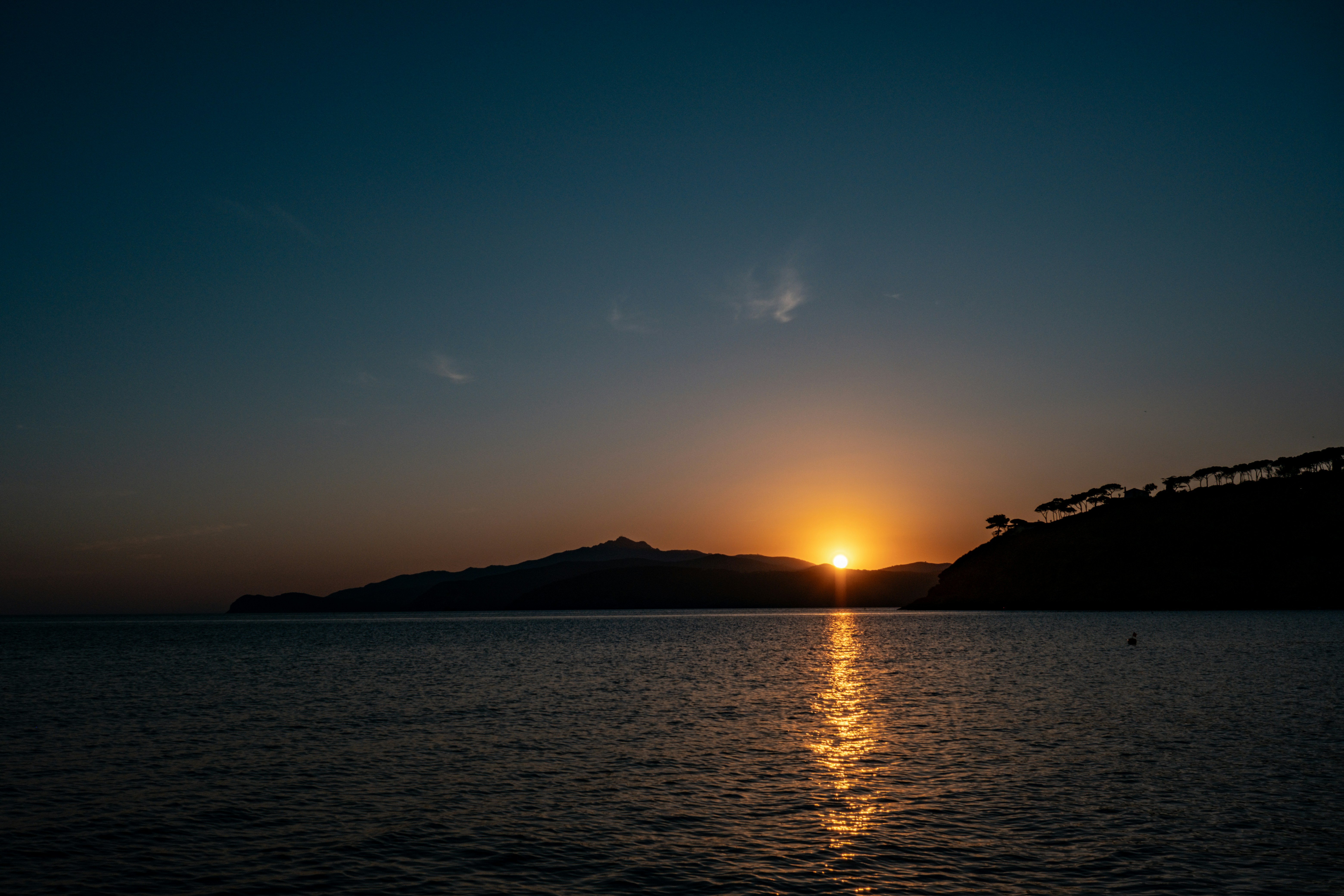 Photo by francesco_ungaro