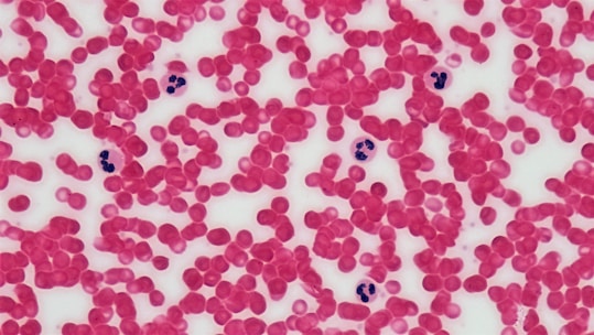 Connective Tissue: Human Blood Leukocyte Survey