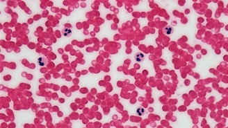 Connective Tissue: Human Blood Leukocyte Survey