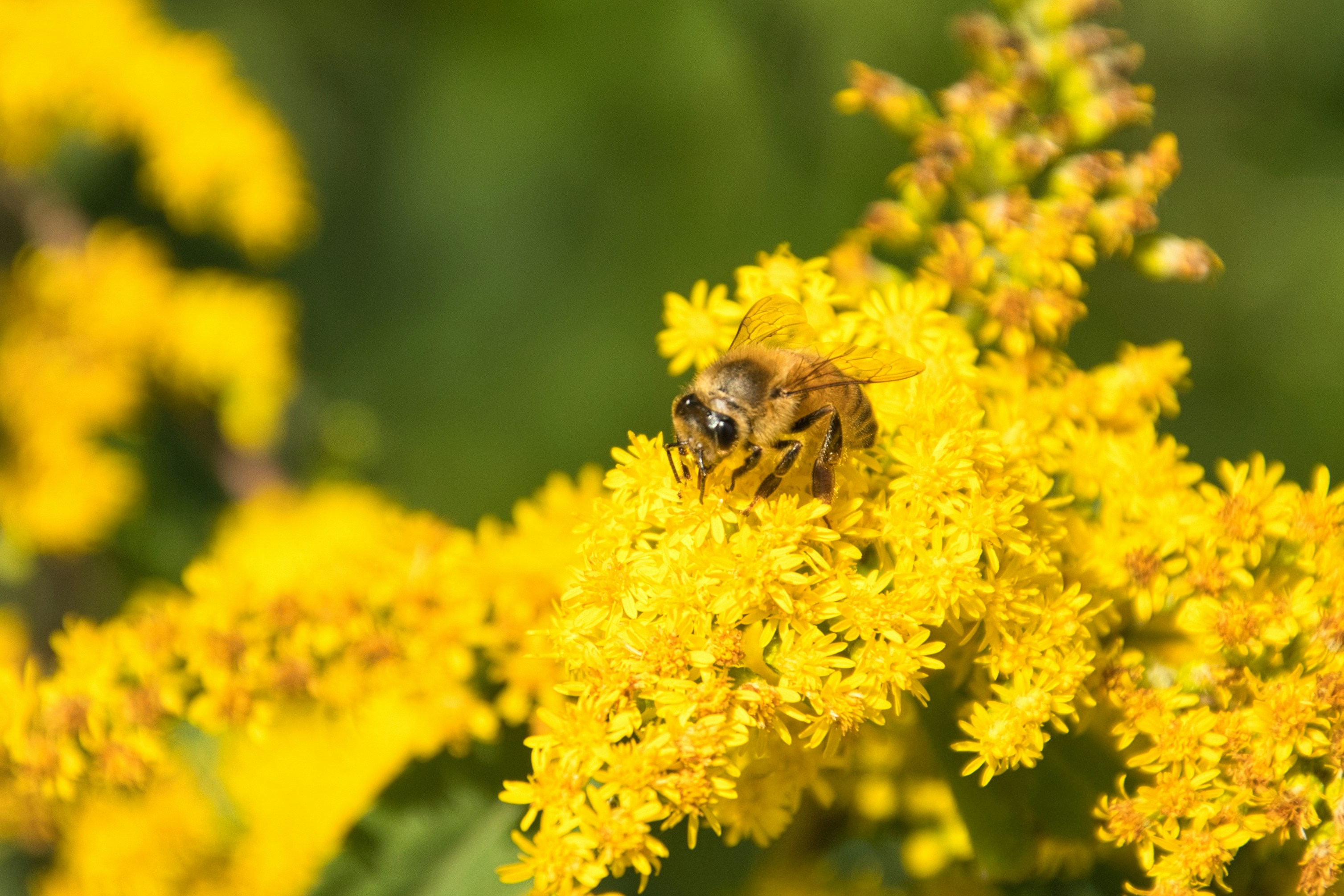 Photo by photosbymarkv