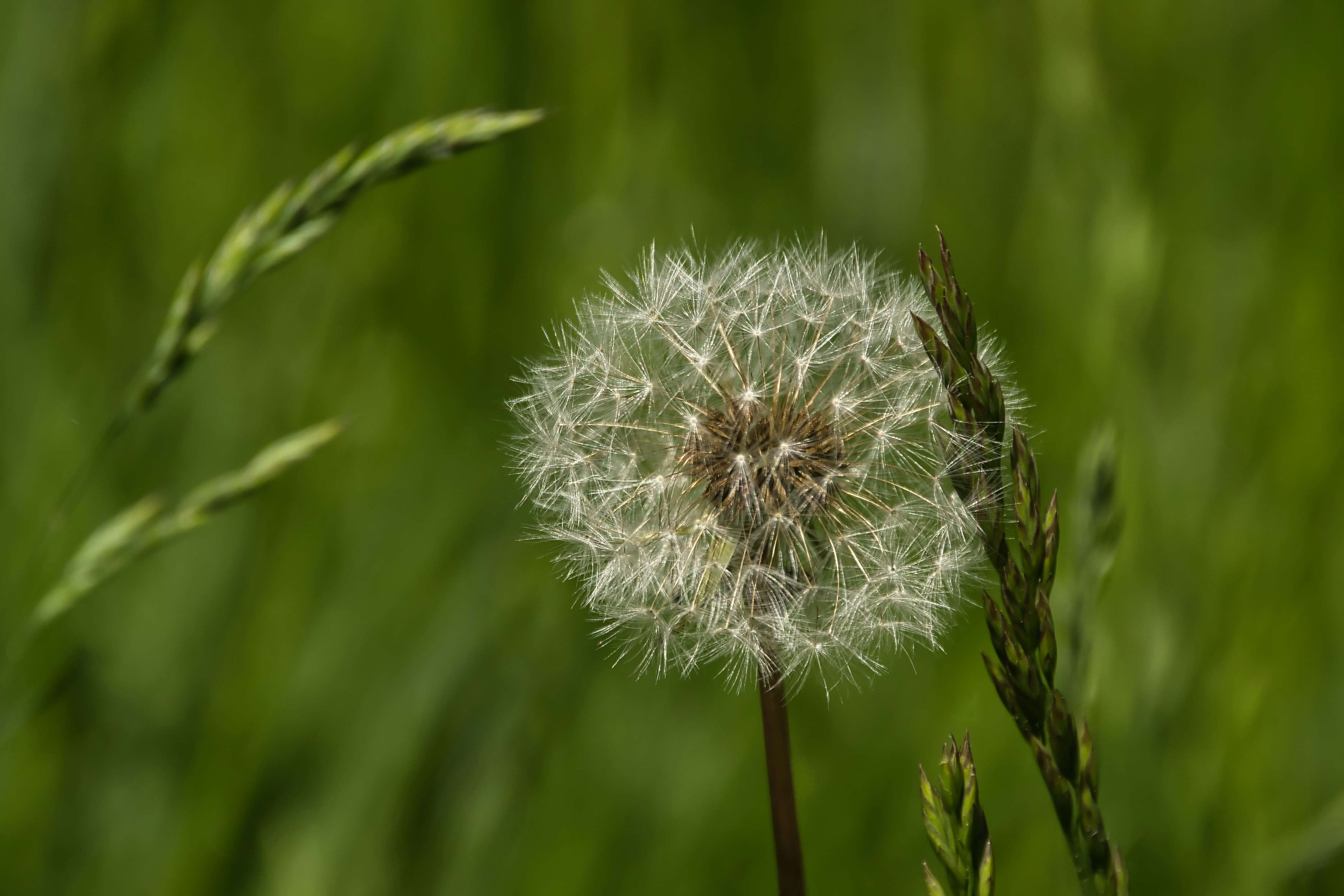 Photo by photosbymarkv