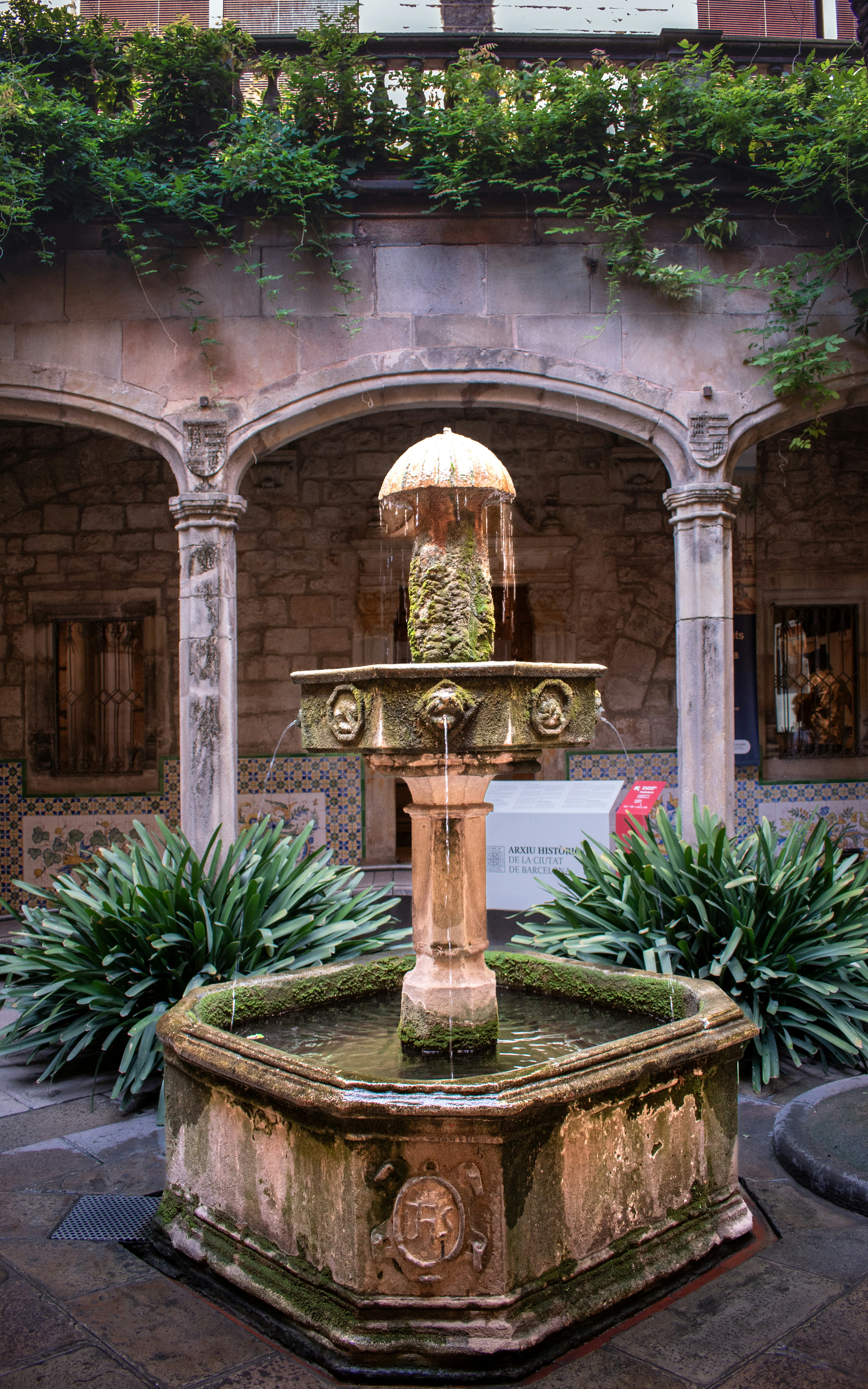 Photo by kiarash555
