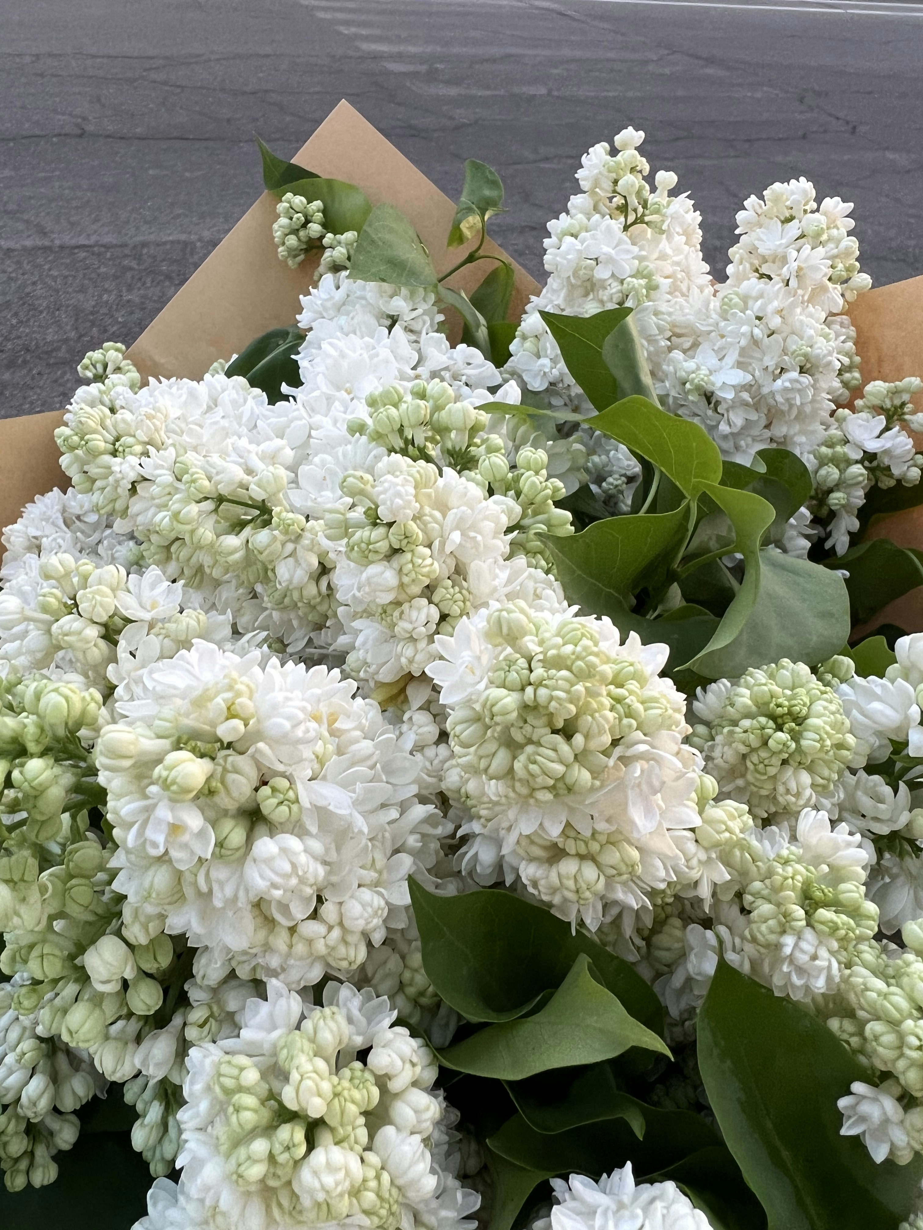 a bouquet of white flowers sitting on top of a table