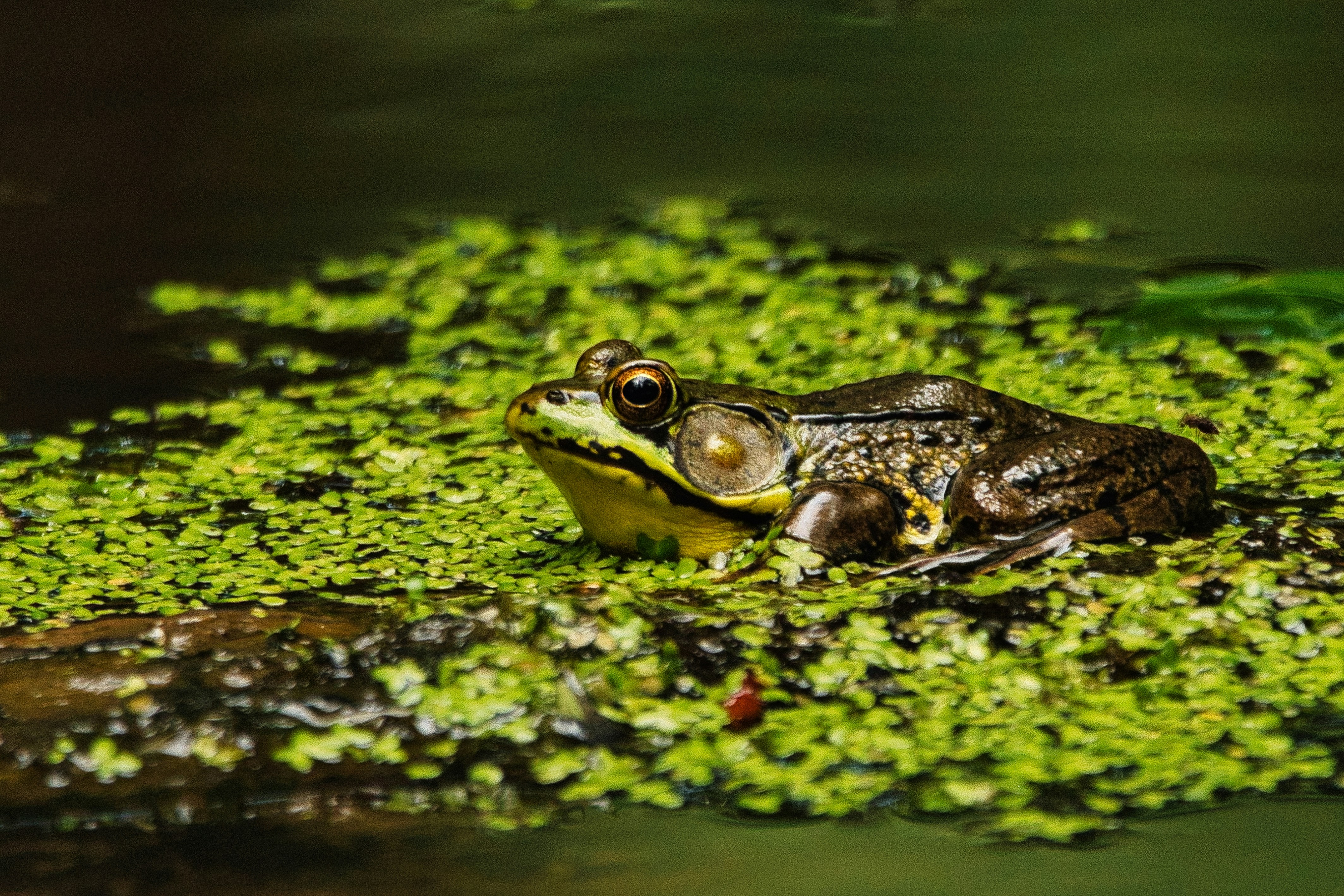 Photo by photosbymarkv