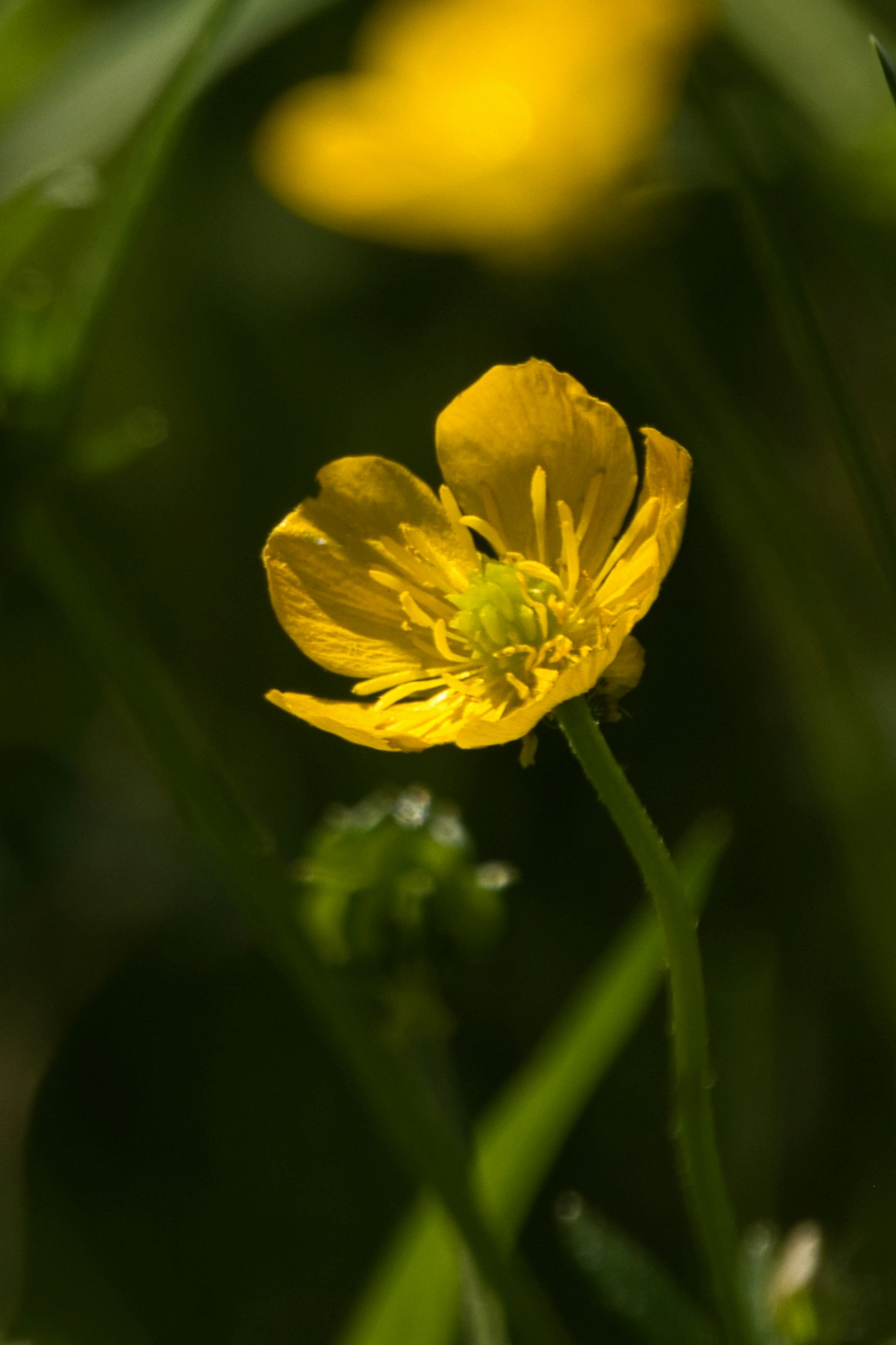 Photo by photosbymarkv