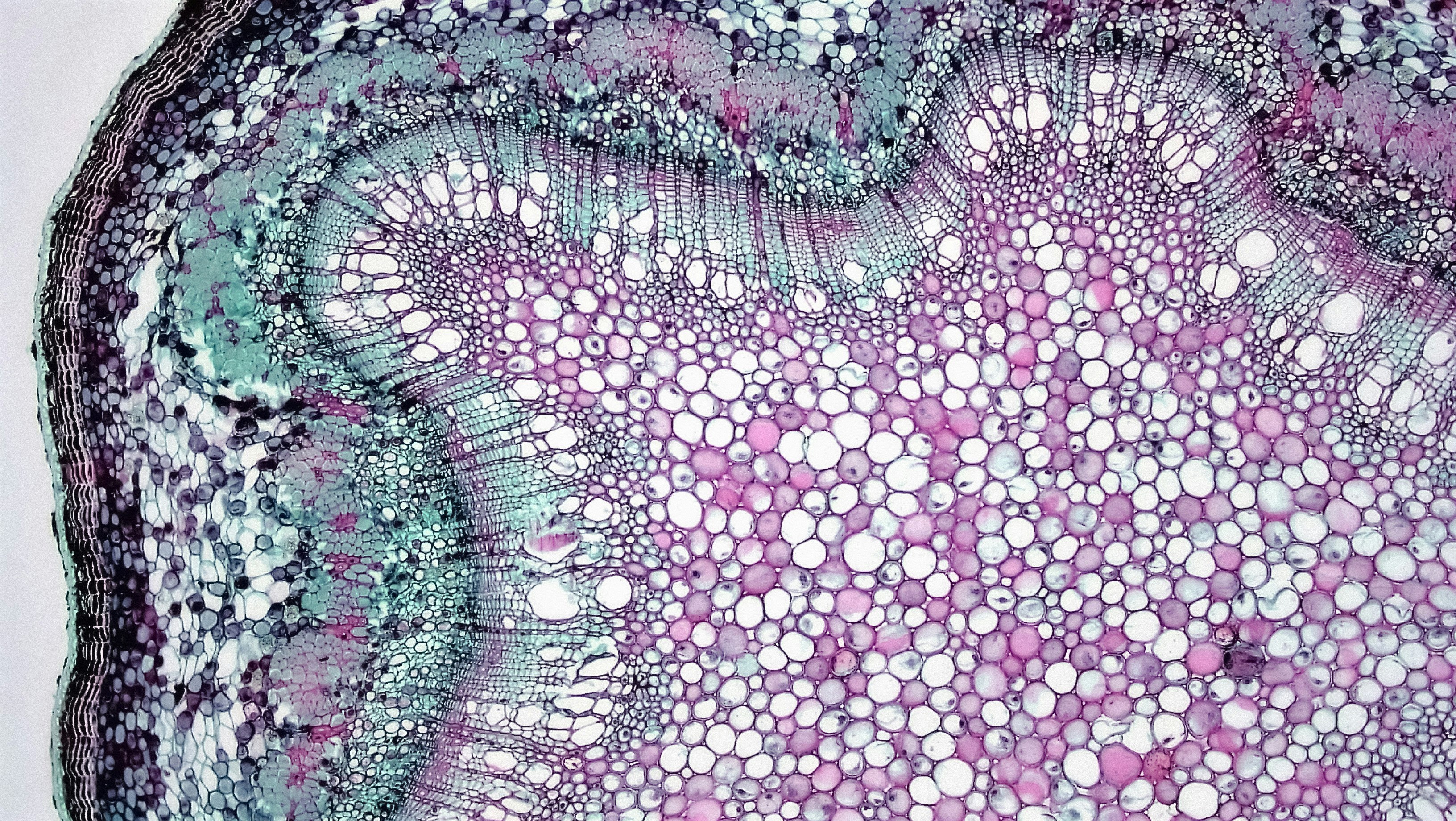 The Measurement Problem: Why Defining Success Changes Everything