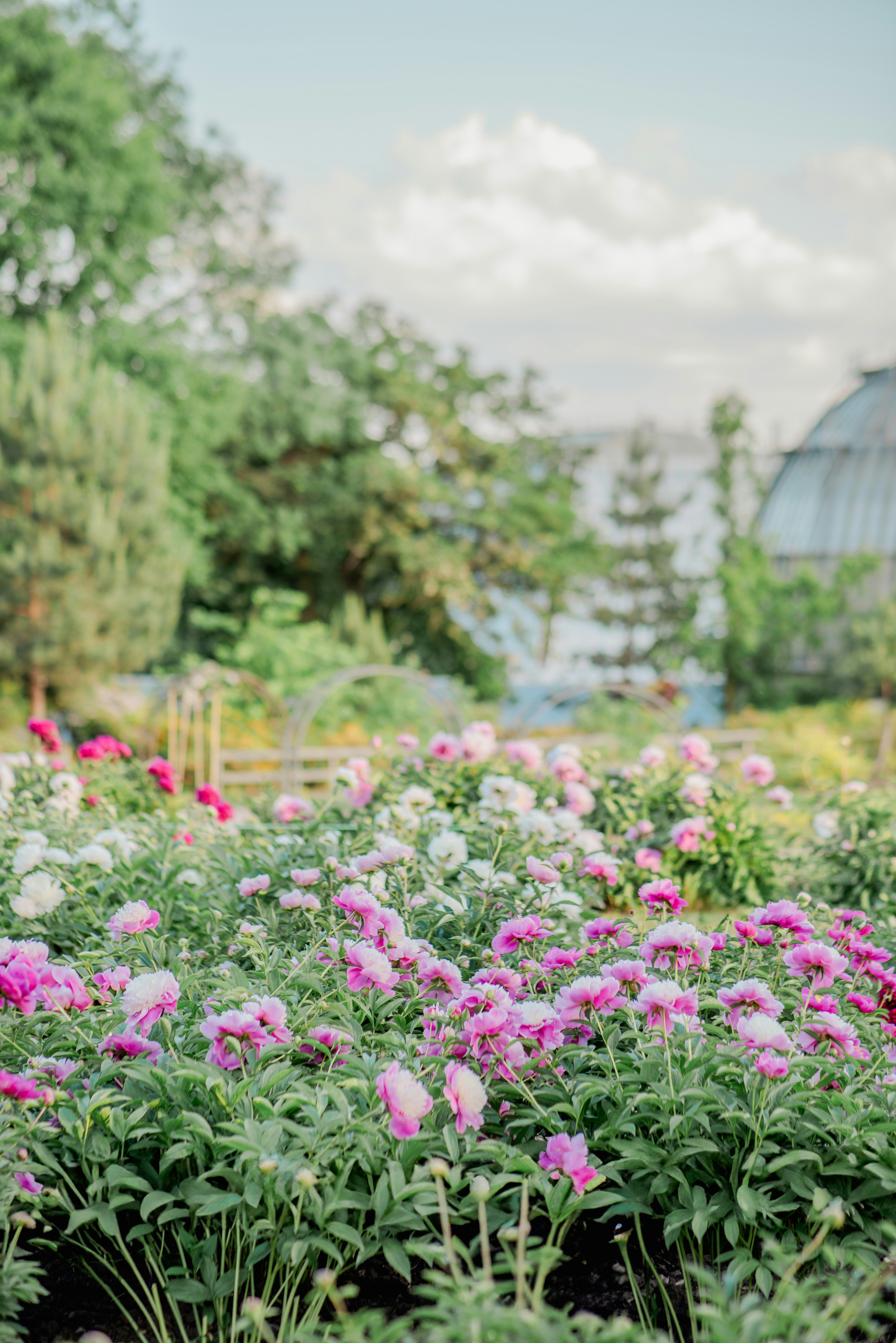 Photo by eugenivy_now