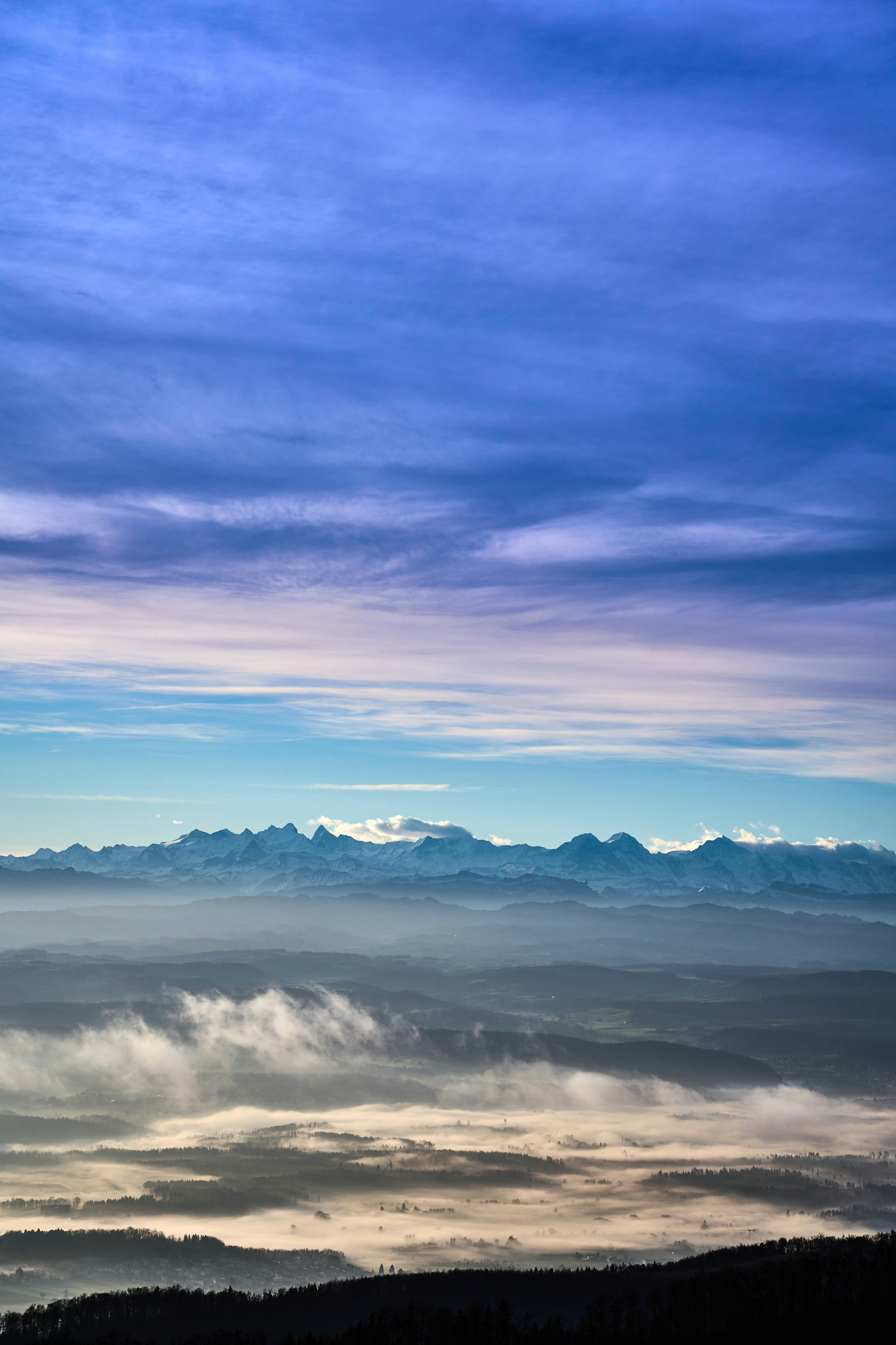 Photo by wolfgang_hasselmann