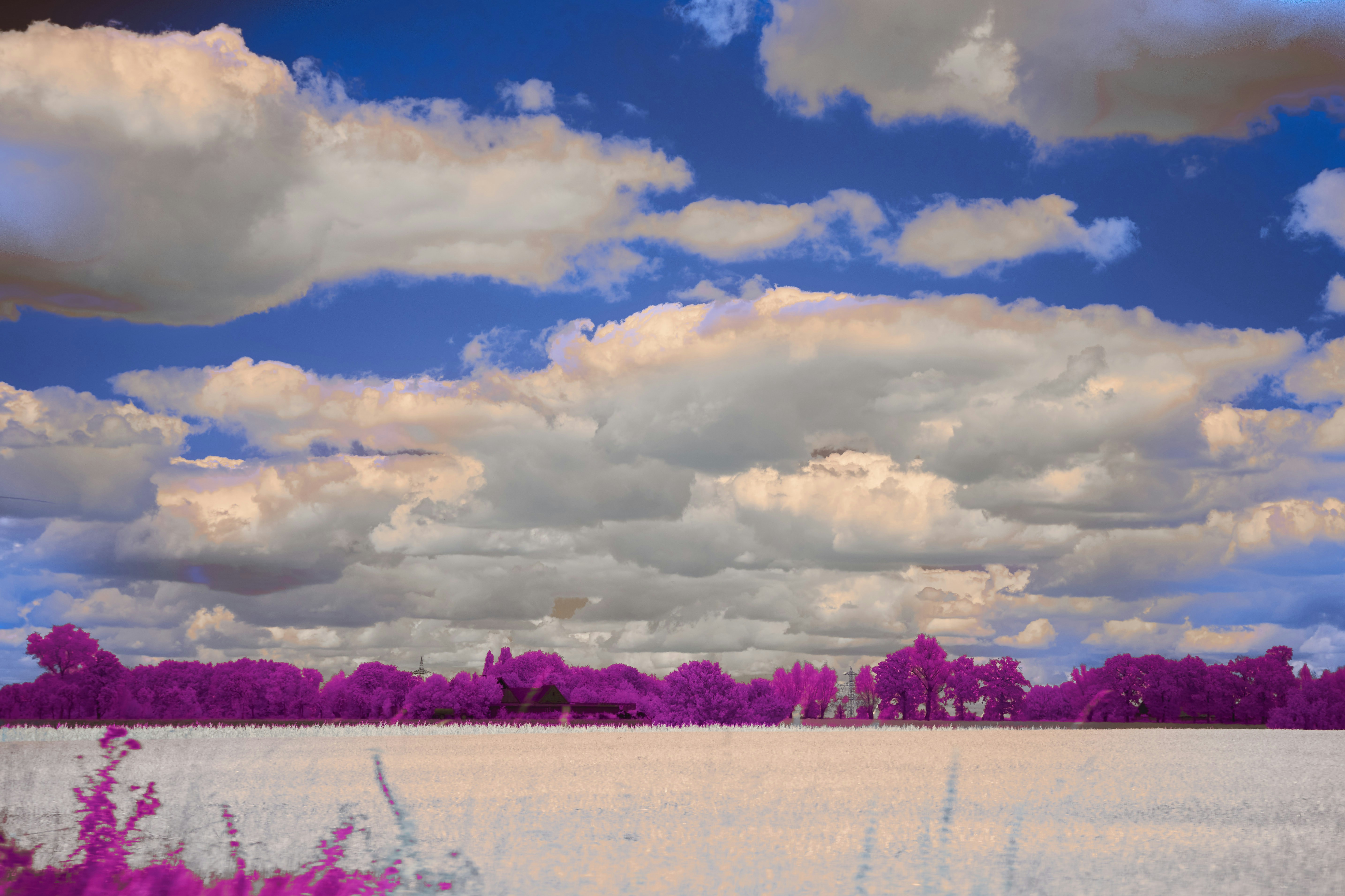 Photo by wolfgang_hasselmann