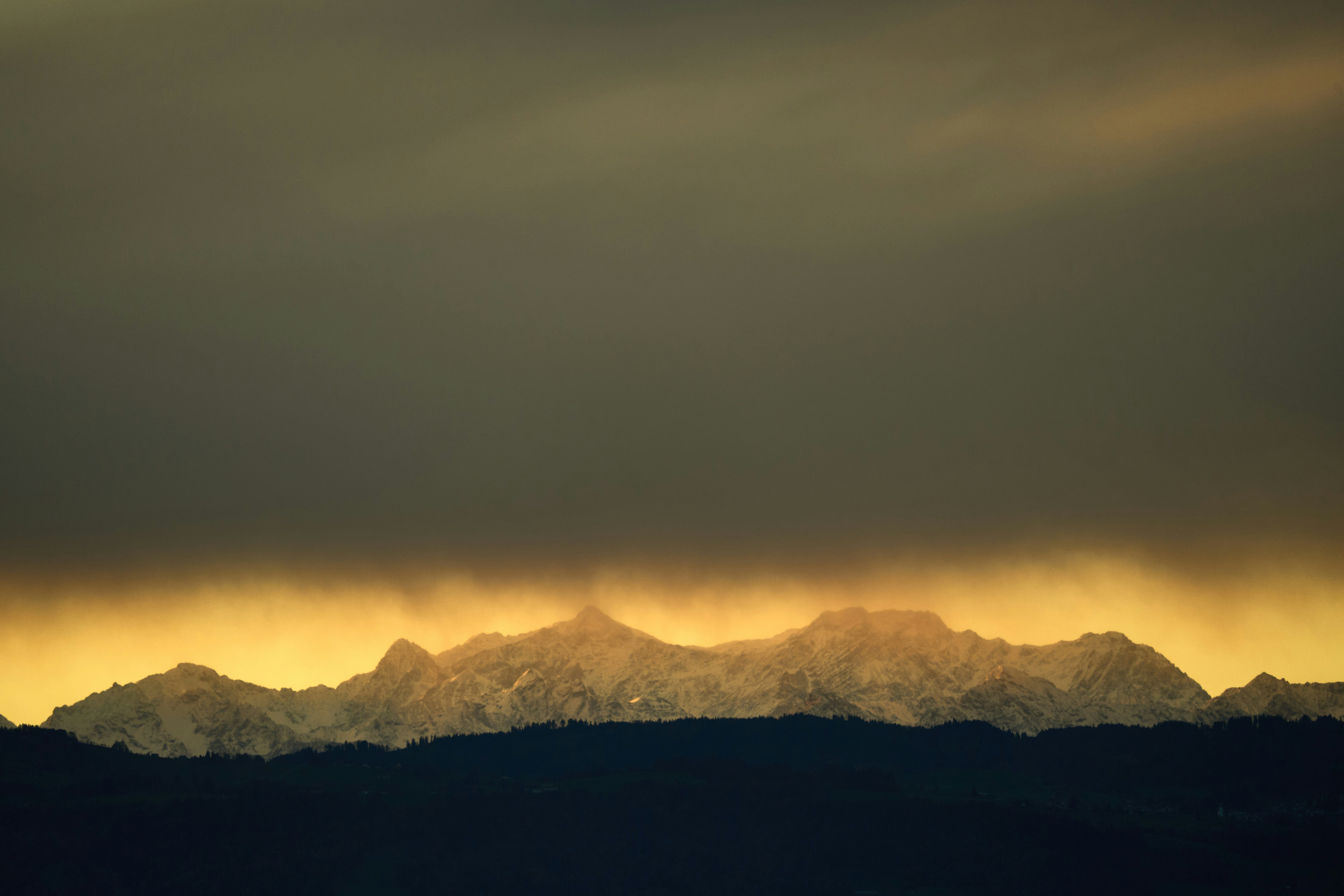 대한민국 1년 예산: 세부 사항 및 이해