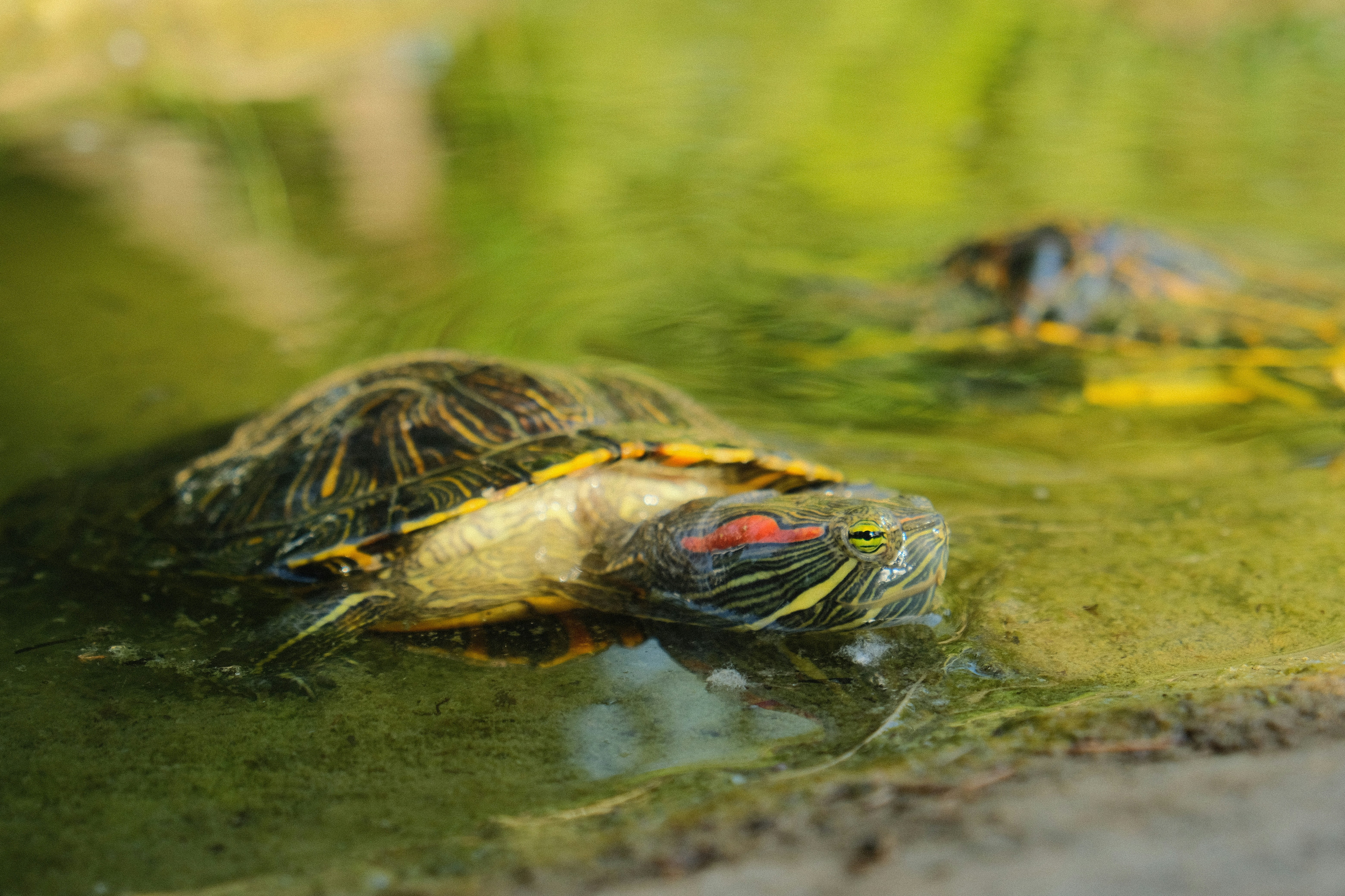 Photo by thesilvafocus