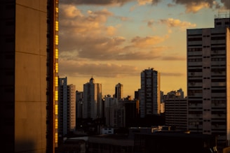a view of a city from a high rise building