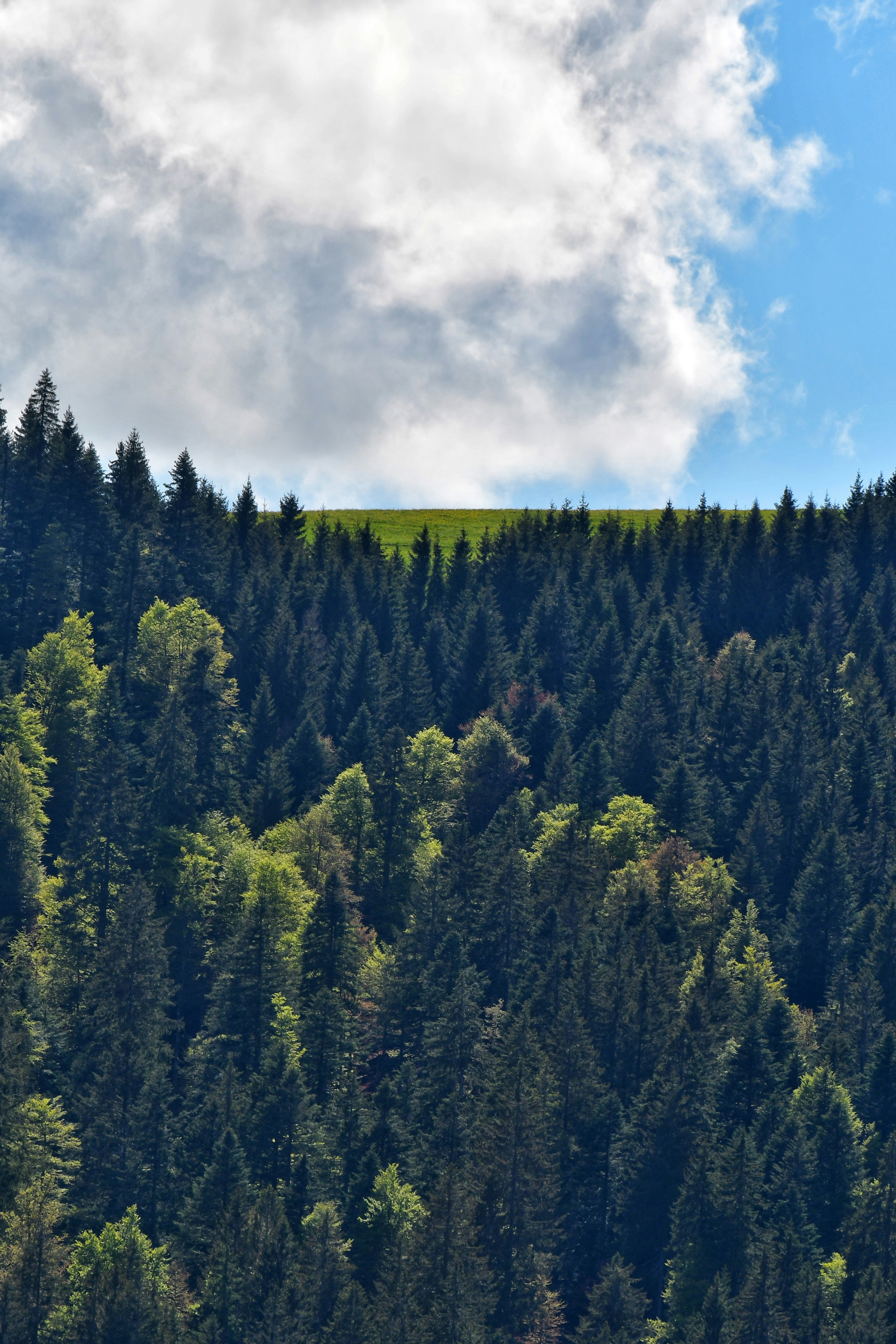 Photo by pedrino5_official