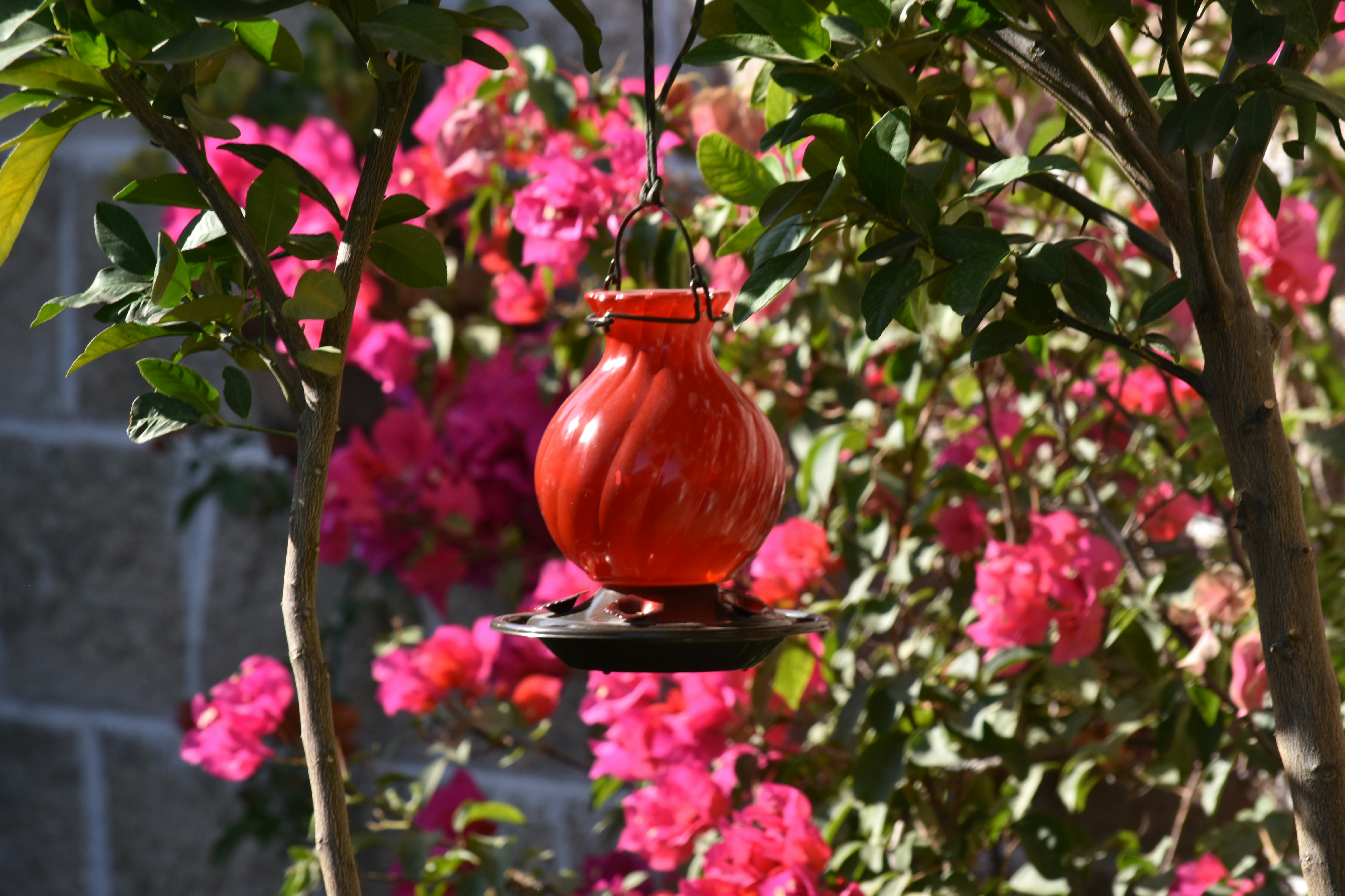 Photo by luigy_ghost