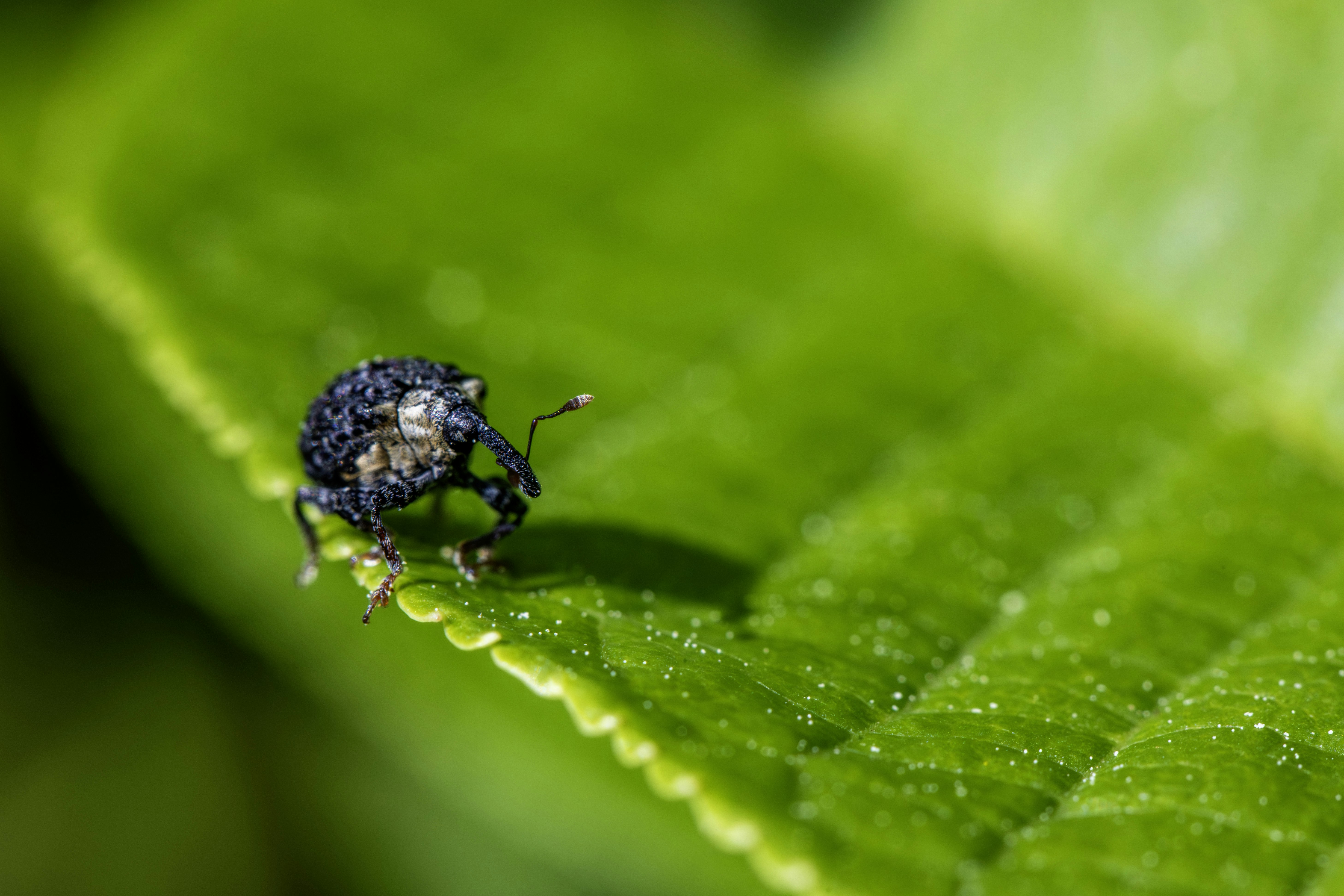 Photo by erik_karits