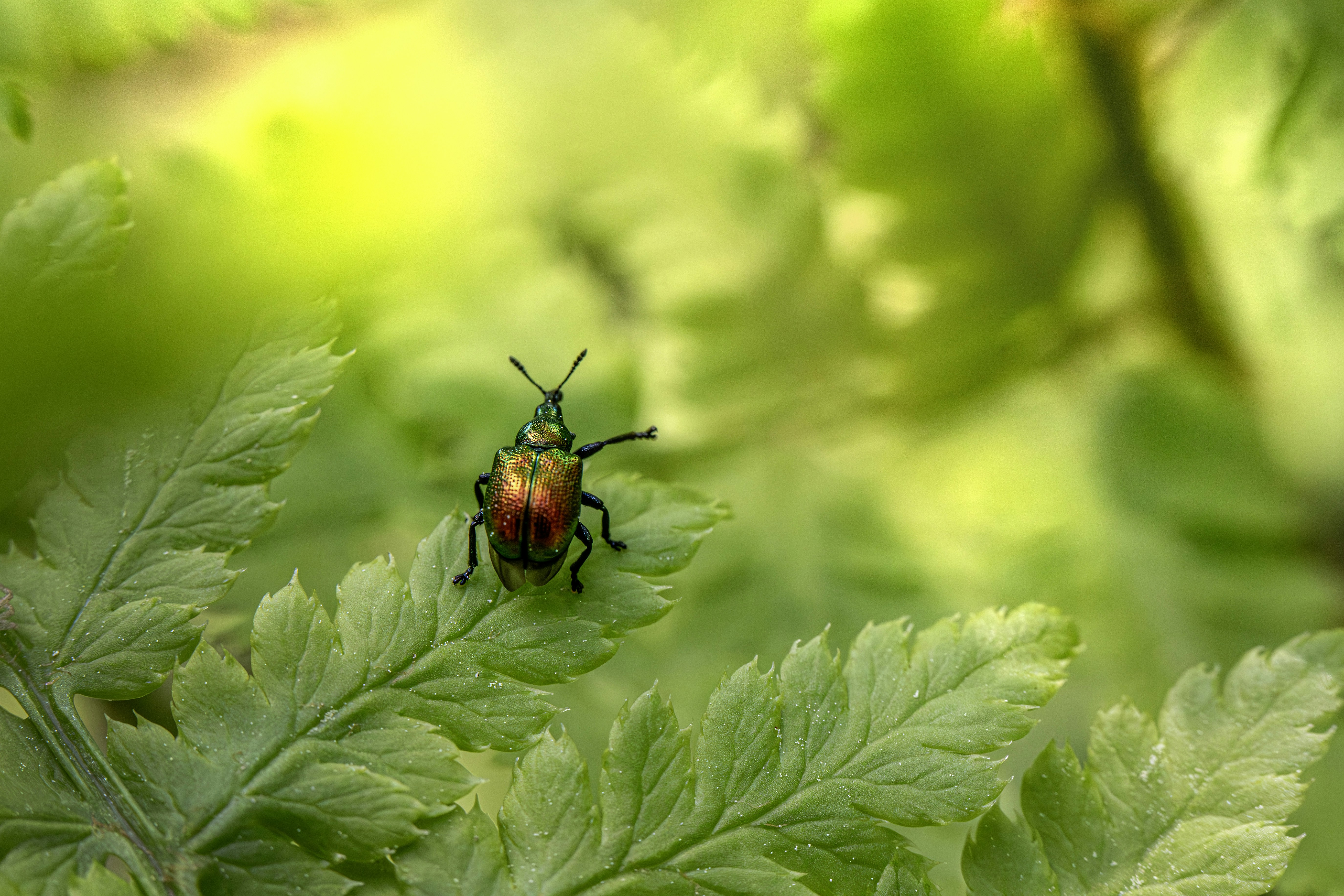 Photo by erik_karits