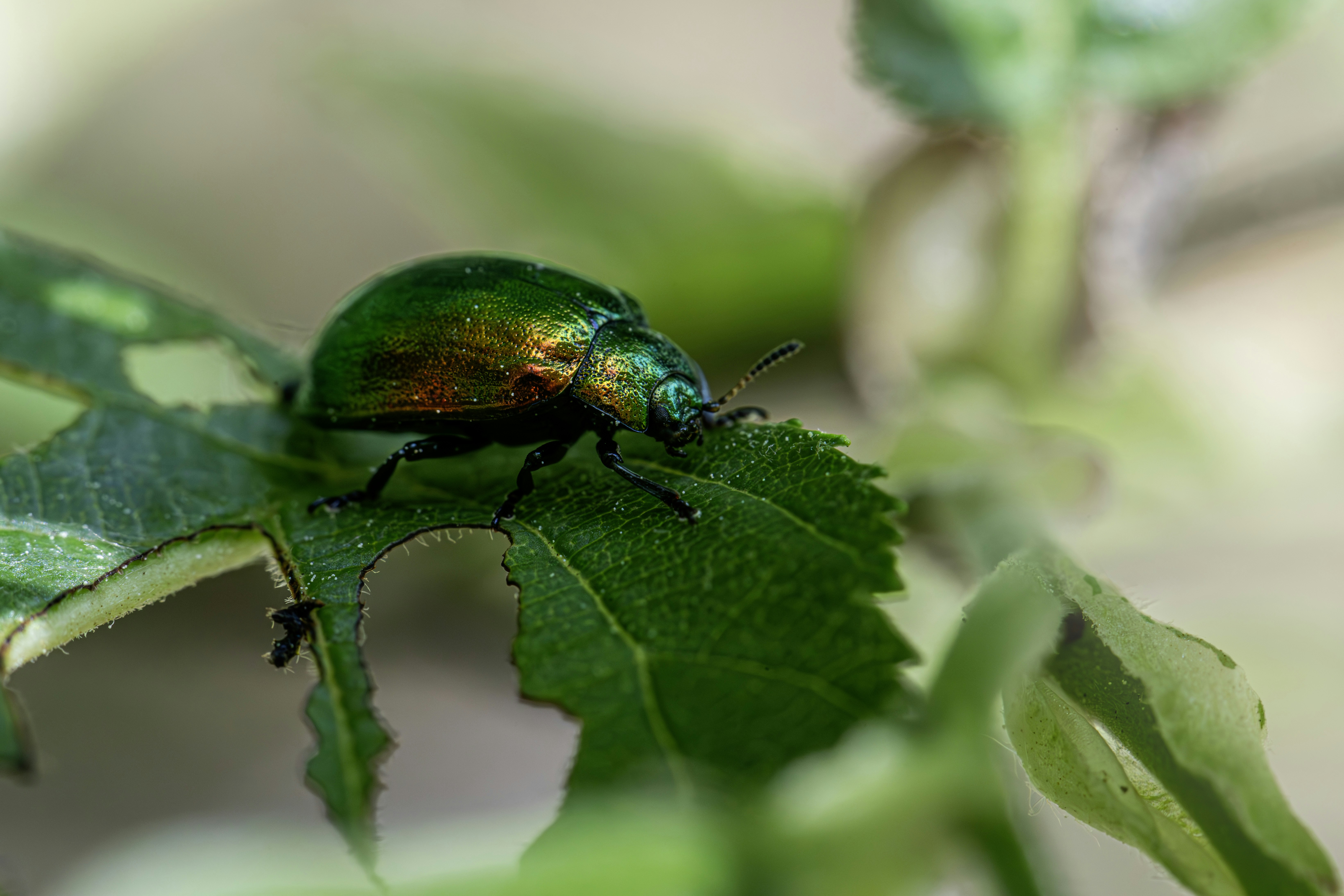 Photo by erik_karits