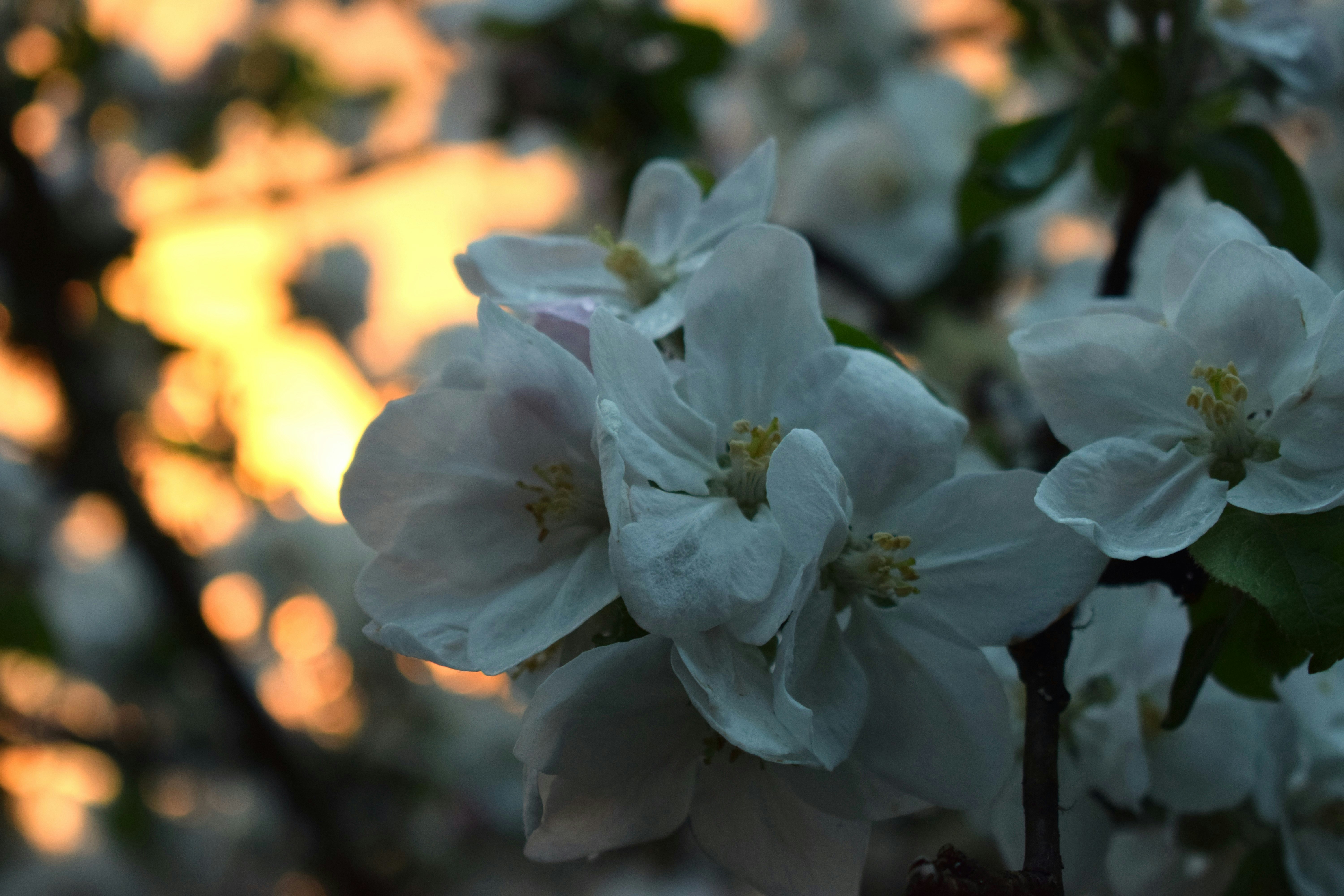 Photo by fr0ggy5_fr0ggy5