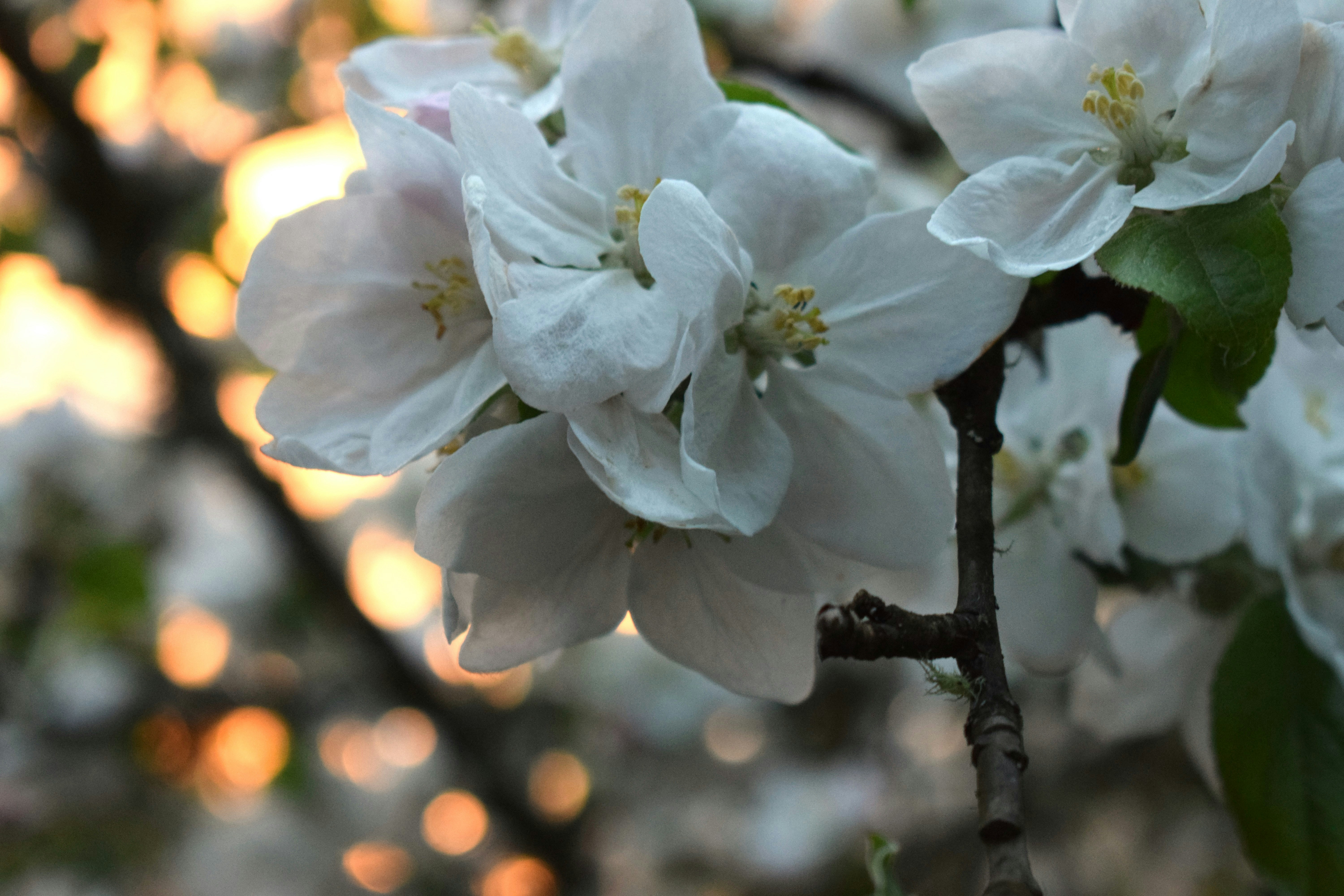 Photo by fr0ggy5_fr0ggy5