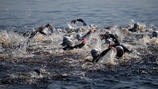 a group of people swimming in a body of water
