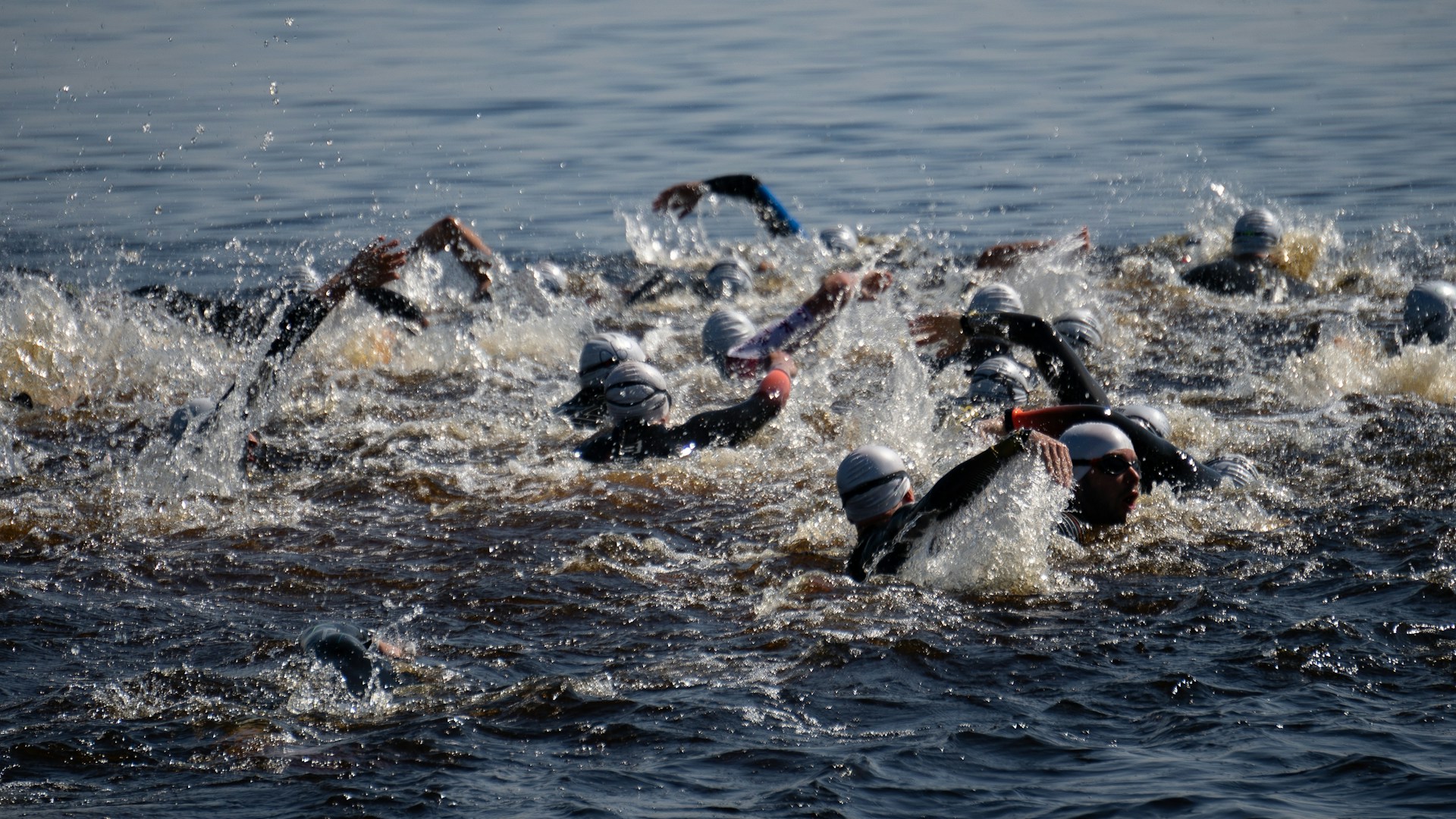 a group of people swimming in a body of water