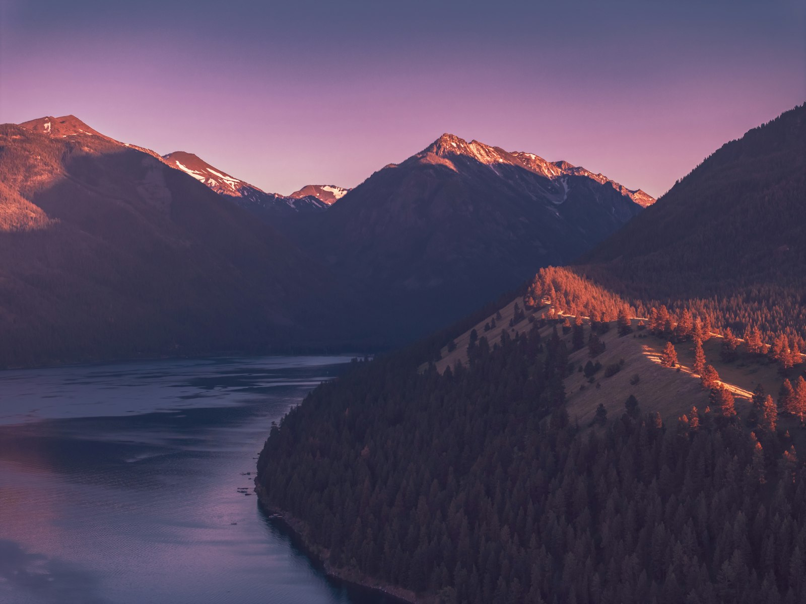 Photo by Dan Meyers on Unsplash